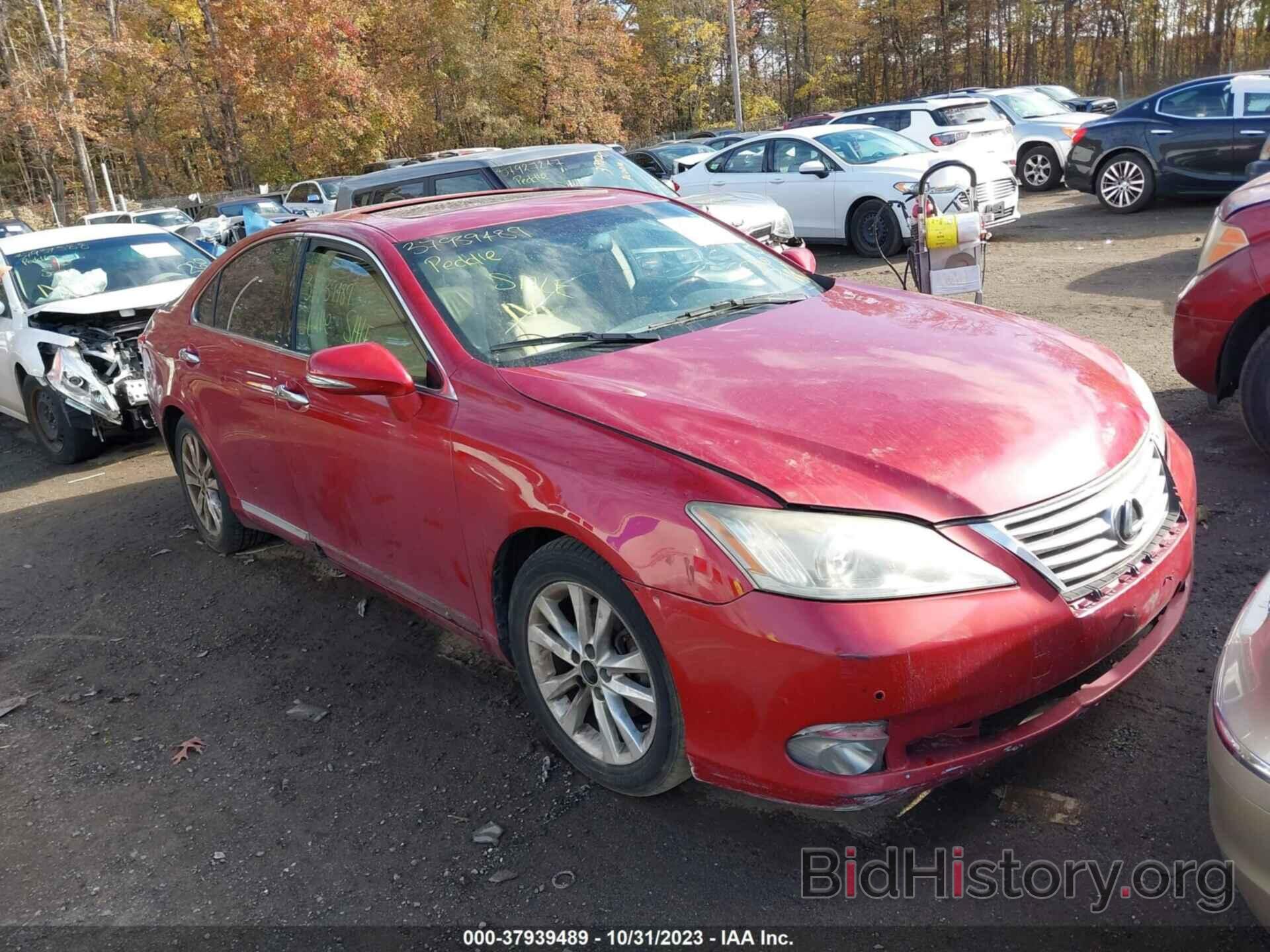 Фотография JTHBK1EG0C2504084 - LEXUS ES 350 2012