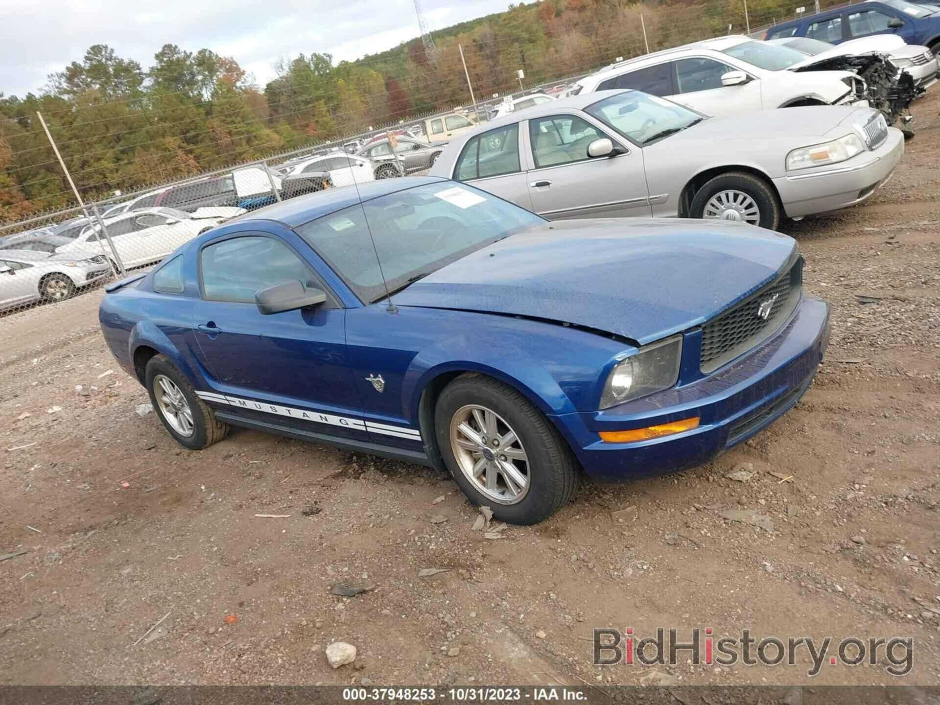 Photo 1ZVHT8ONX95109163 - FORD MUSTANG 2009