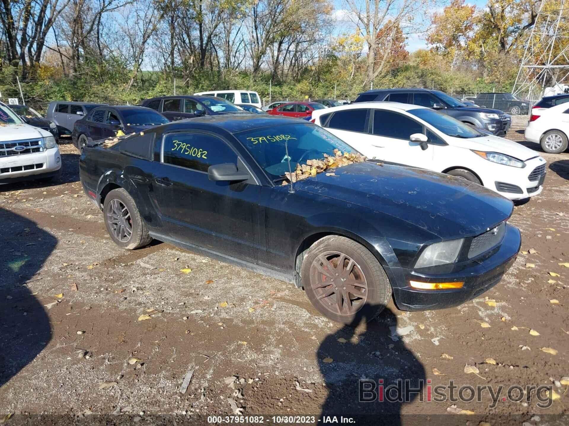 Photo 1ZVHT80N095117367 - FORD MUSTANG 2009