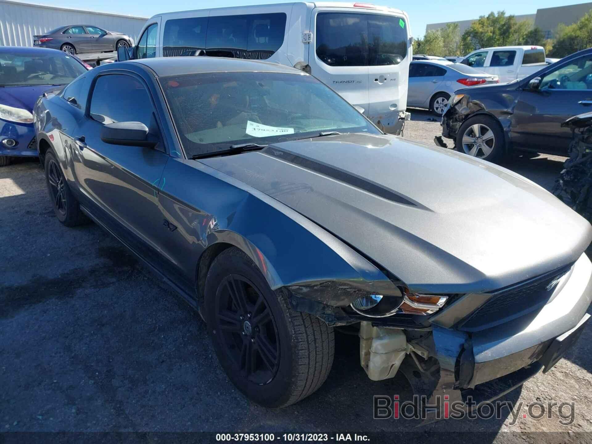 Photo 1ZVBP8AMXC5281703 - FORD MUSTANG 2012
