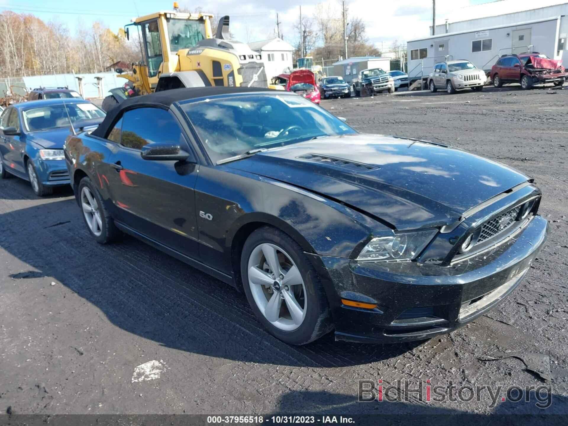 Photo 1ZVBP8FF8D5201262 - FORD MUSTANG 2013
