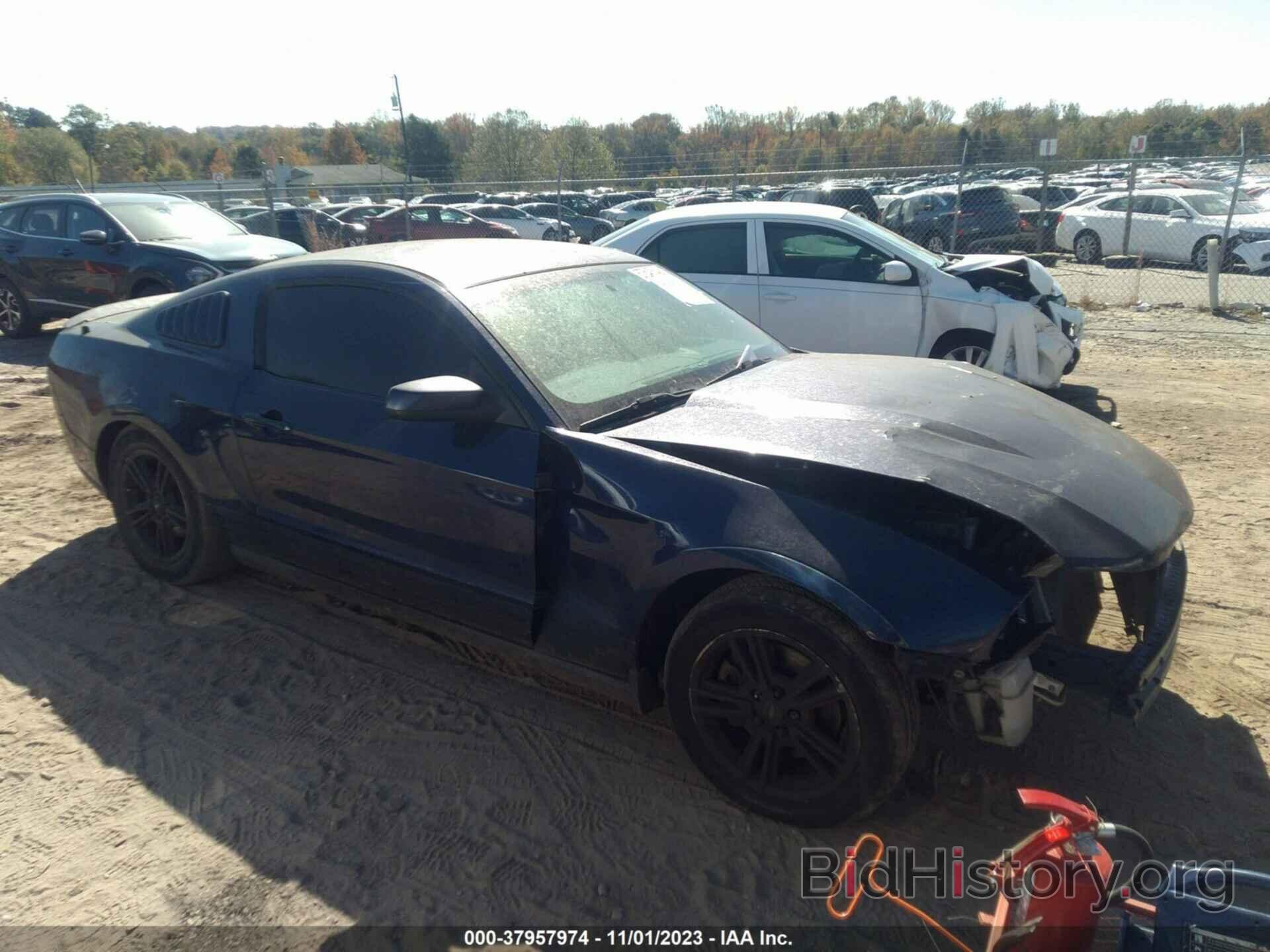 Photo 1ZVBP8AM7C5274272 - FORD MUSTANG 2012