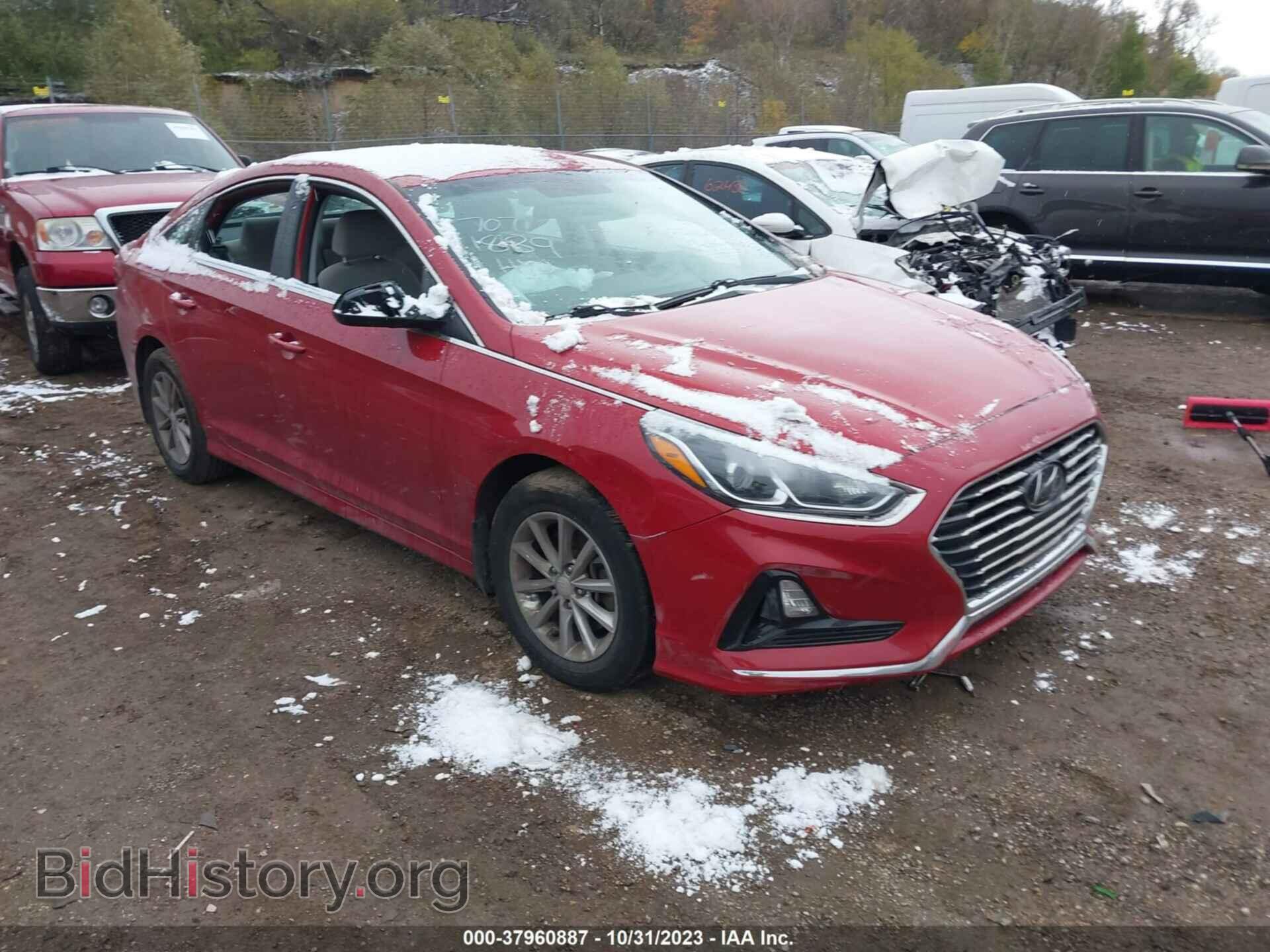 Photo 5NPE24AF7KH739933 - HYUNDAI SONATA 2019