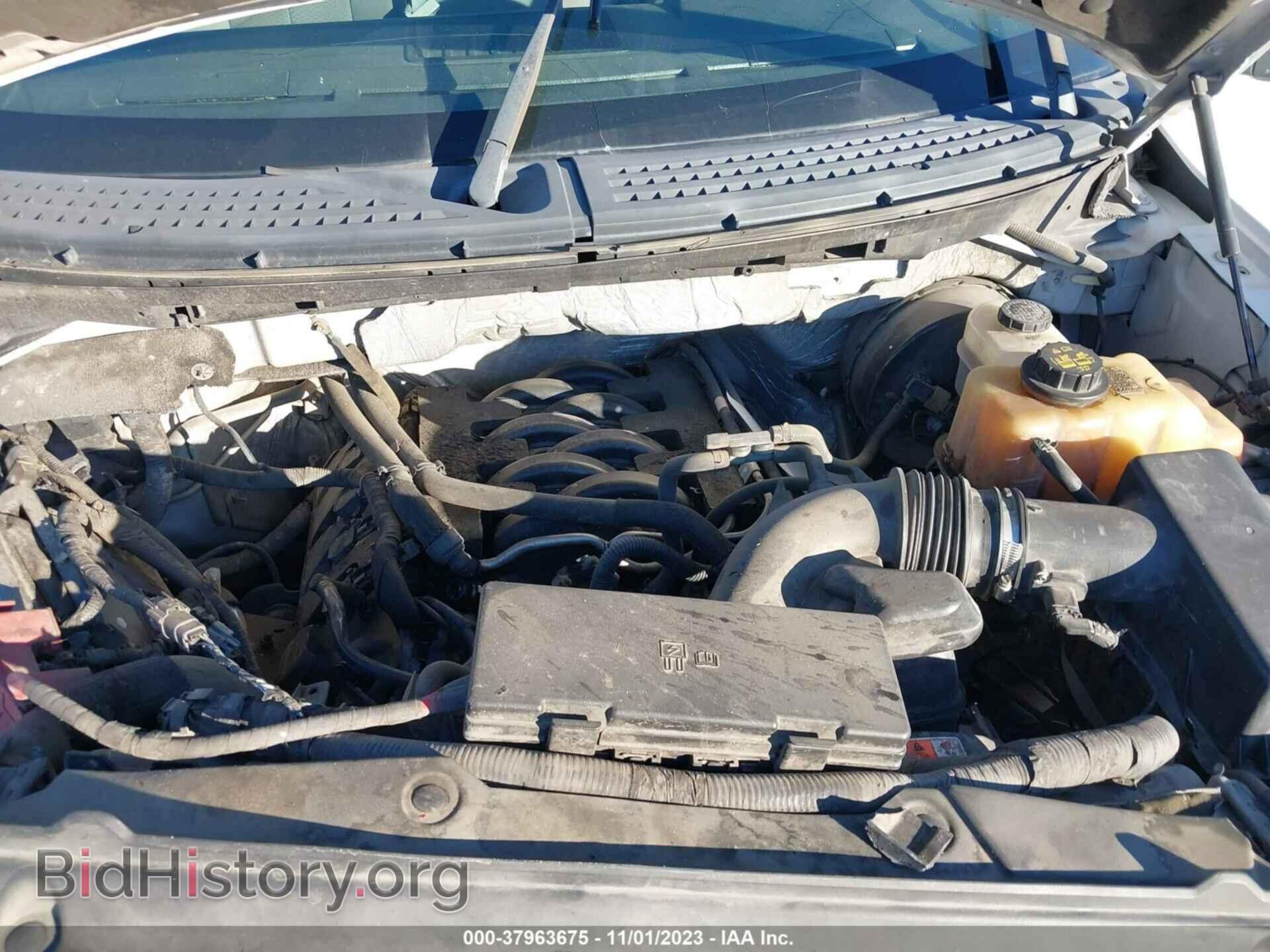 2011 FORD F-150 - VIN: 1FTFW1CF0BFA95500 - Фото 10