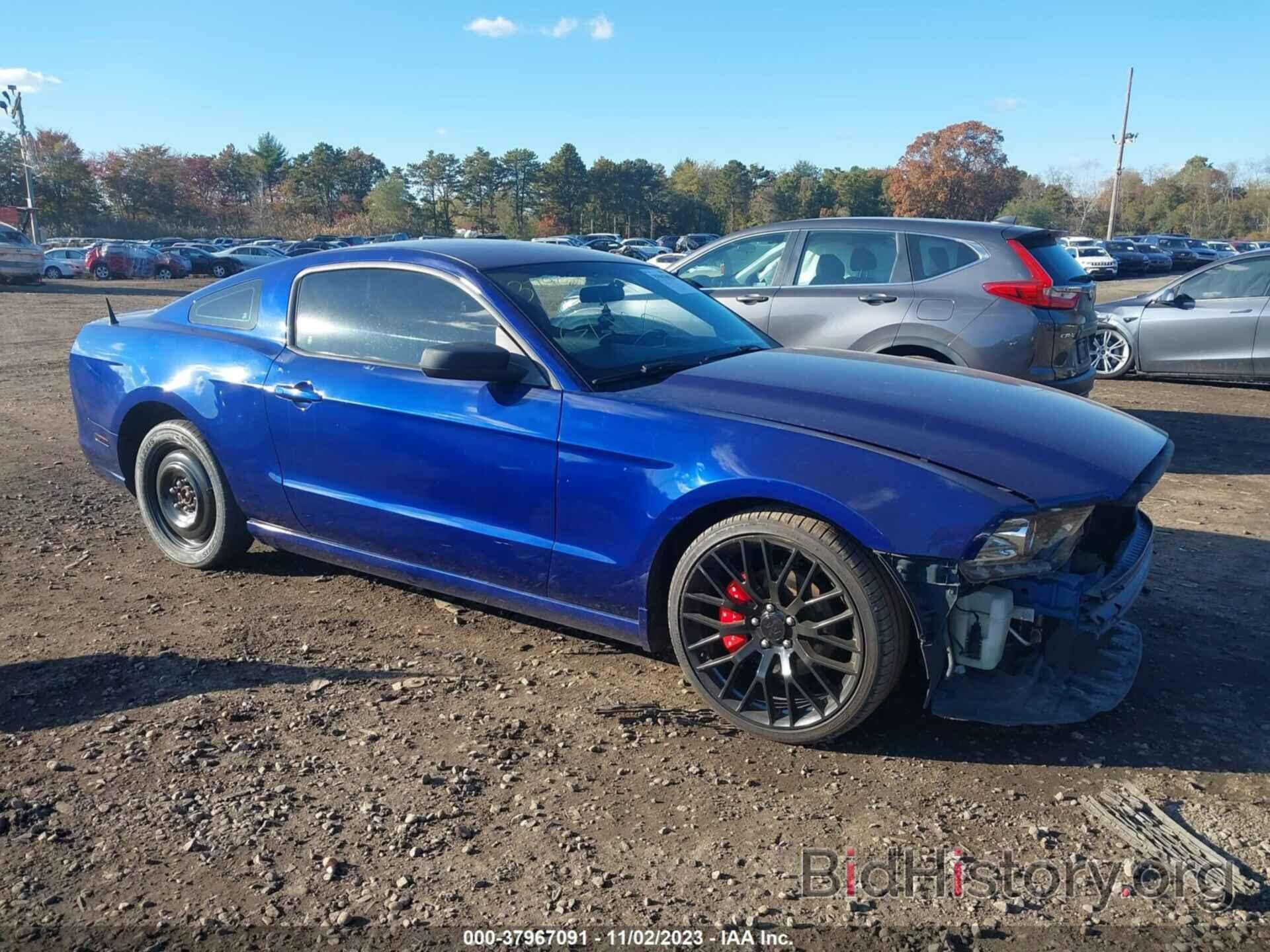 Photo 1ZVBP8AM7E5290474 - FORD MUSTANG 2014