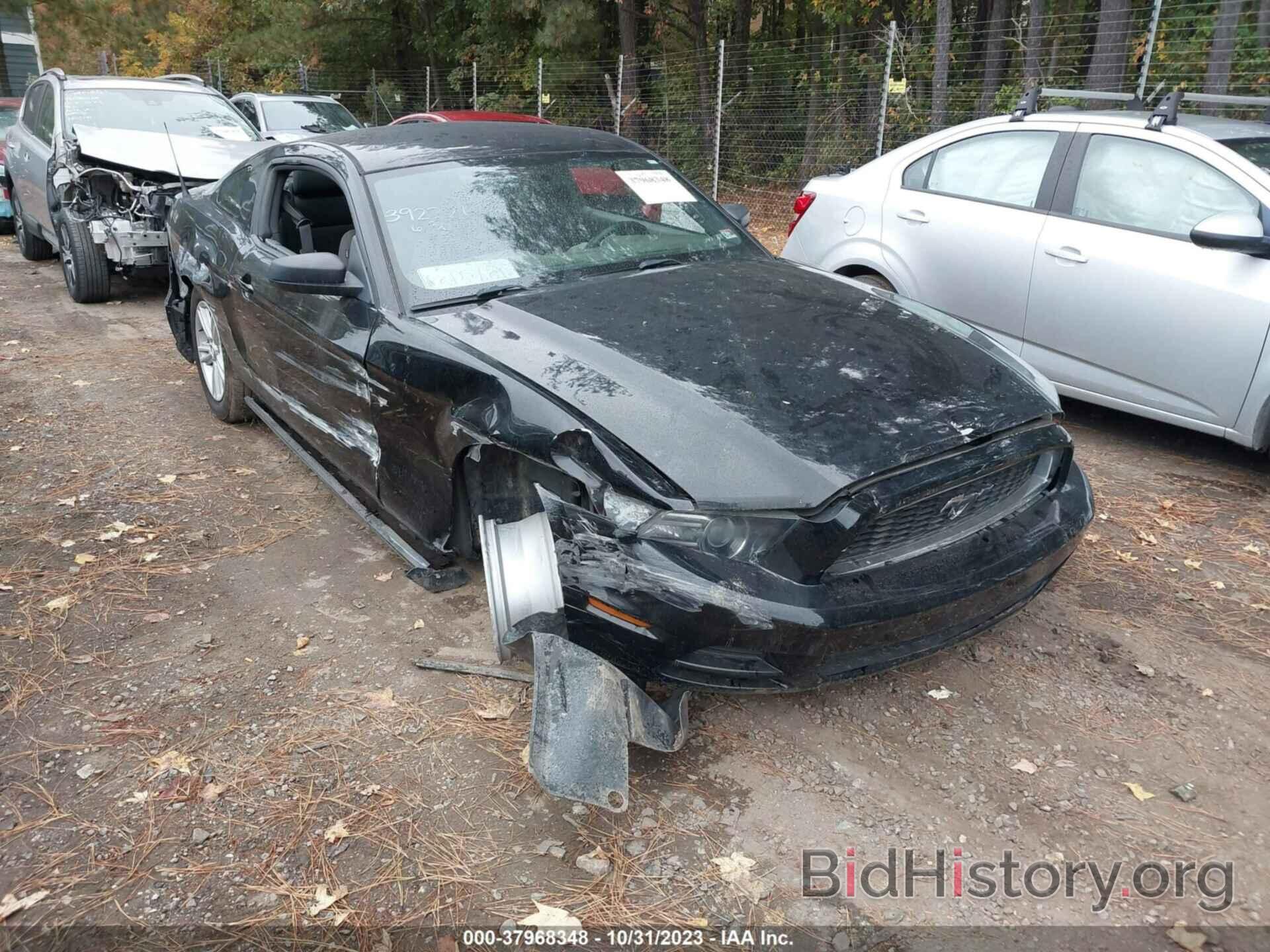 Photo 1ZVBP8AM2E5206982 - FORD MUSTANG 2014
