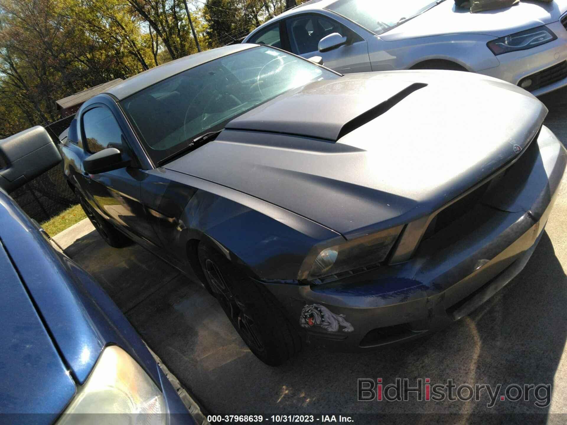Photo 1ZVBP8AN2A5145992 - FORD MUSTANG 2010