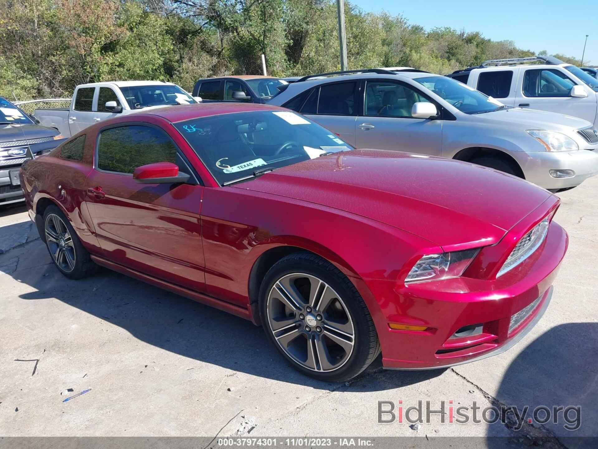Photo 1ZVBP8AM0E5201005 - FORD MUSTANG 2014
