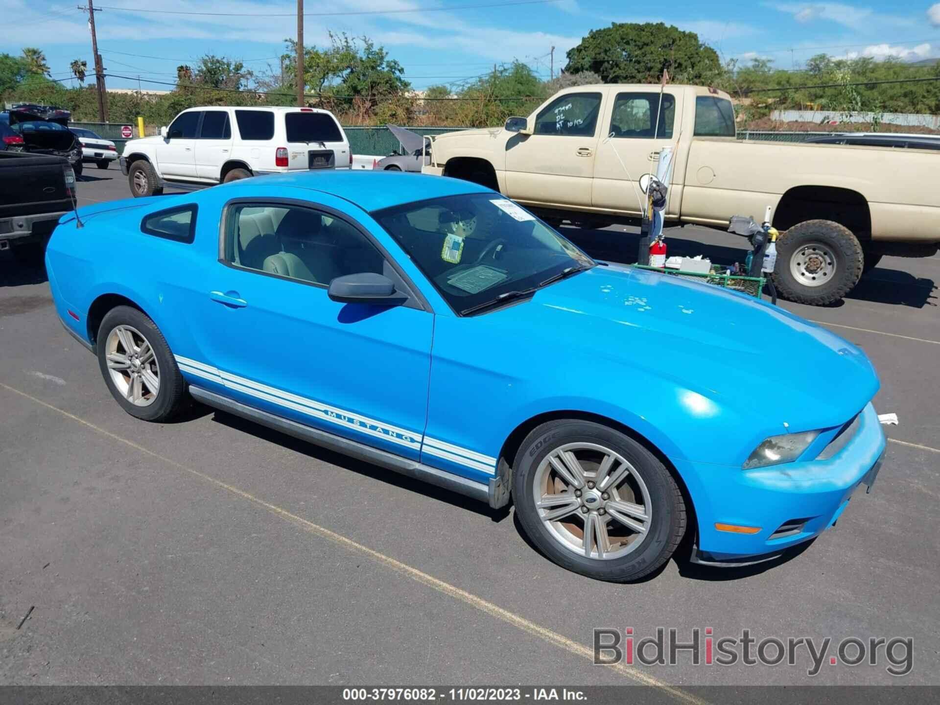 Photo 1ZVBP8AN9A5141986 - FORD MUSTANG 2010