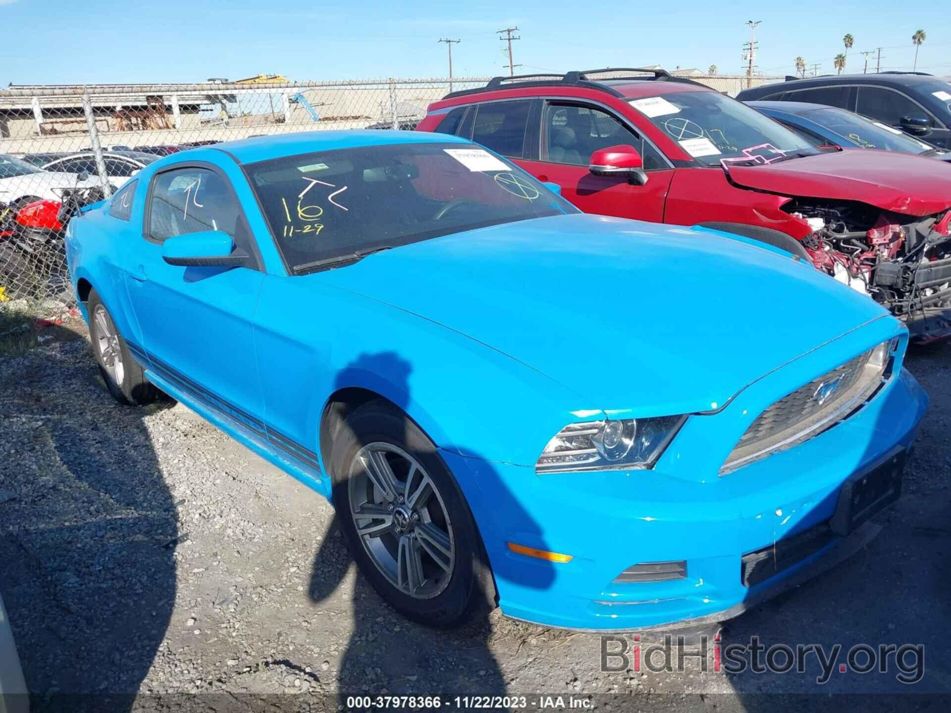 Photo 1ZVBP8AM8D5227611 - FORD MUSTANG 2013