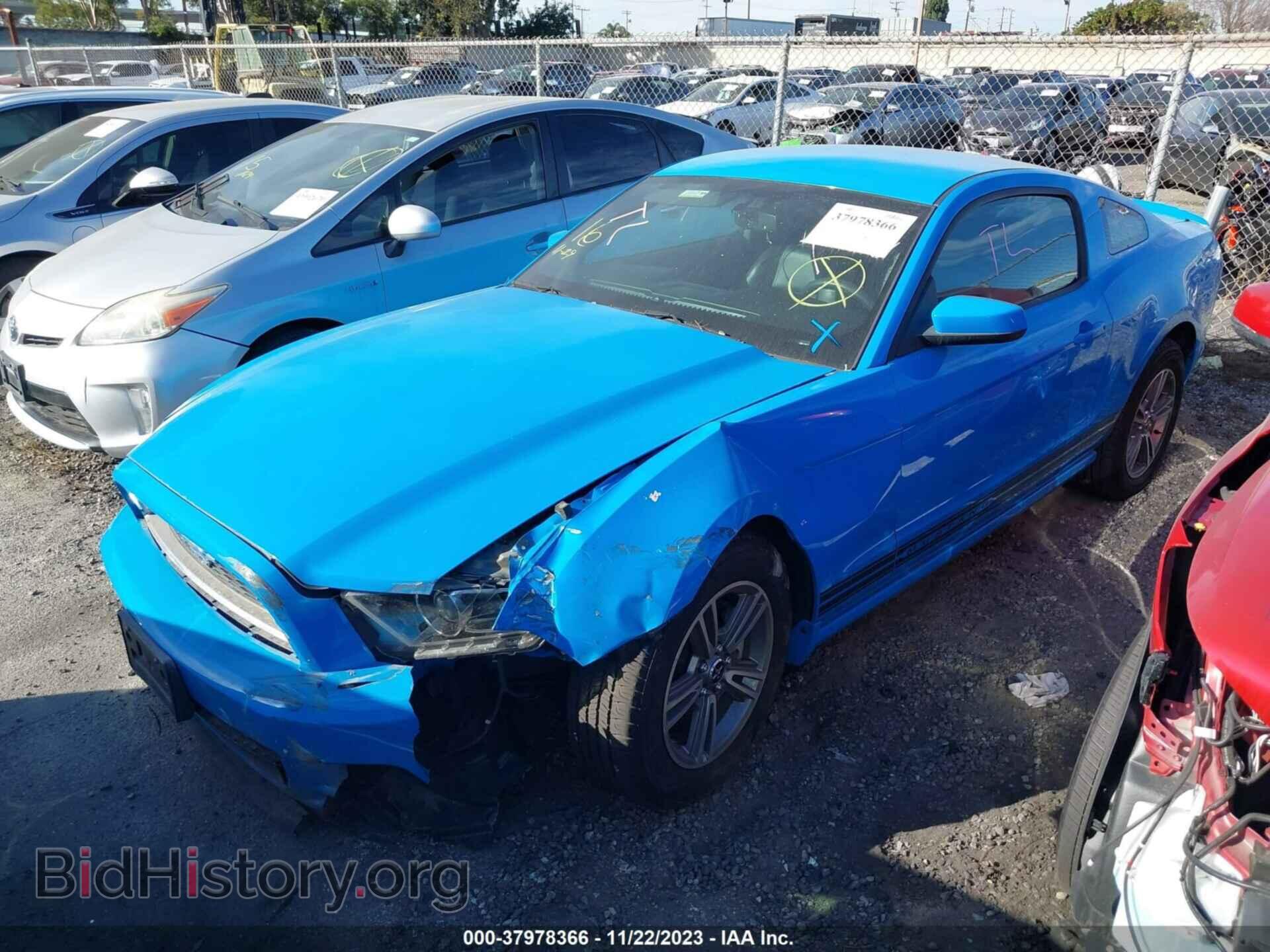 2013 FORD MUSTANG - VIN: 1ZVBP8AM8D5227611 - Фото 2