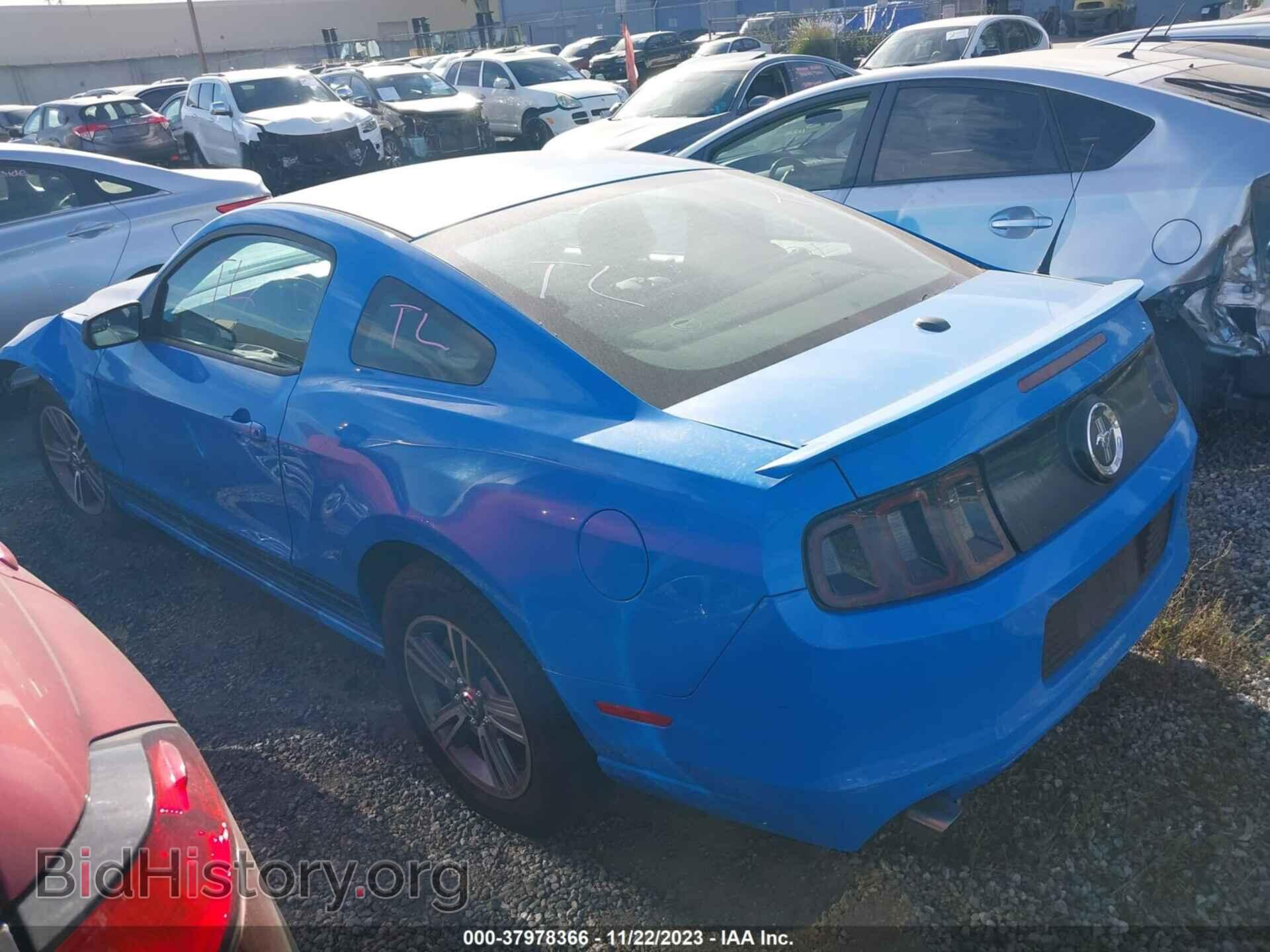 2013 FORD MUSTANG - VIN: 1ZVBP8AM8D5227611 - Фото 3