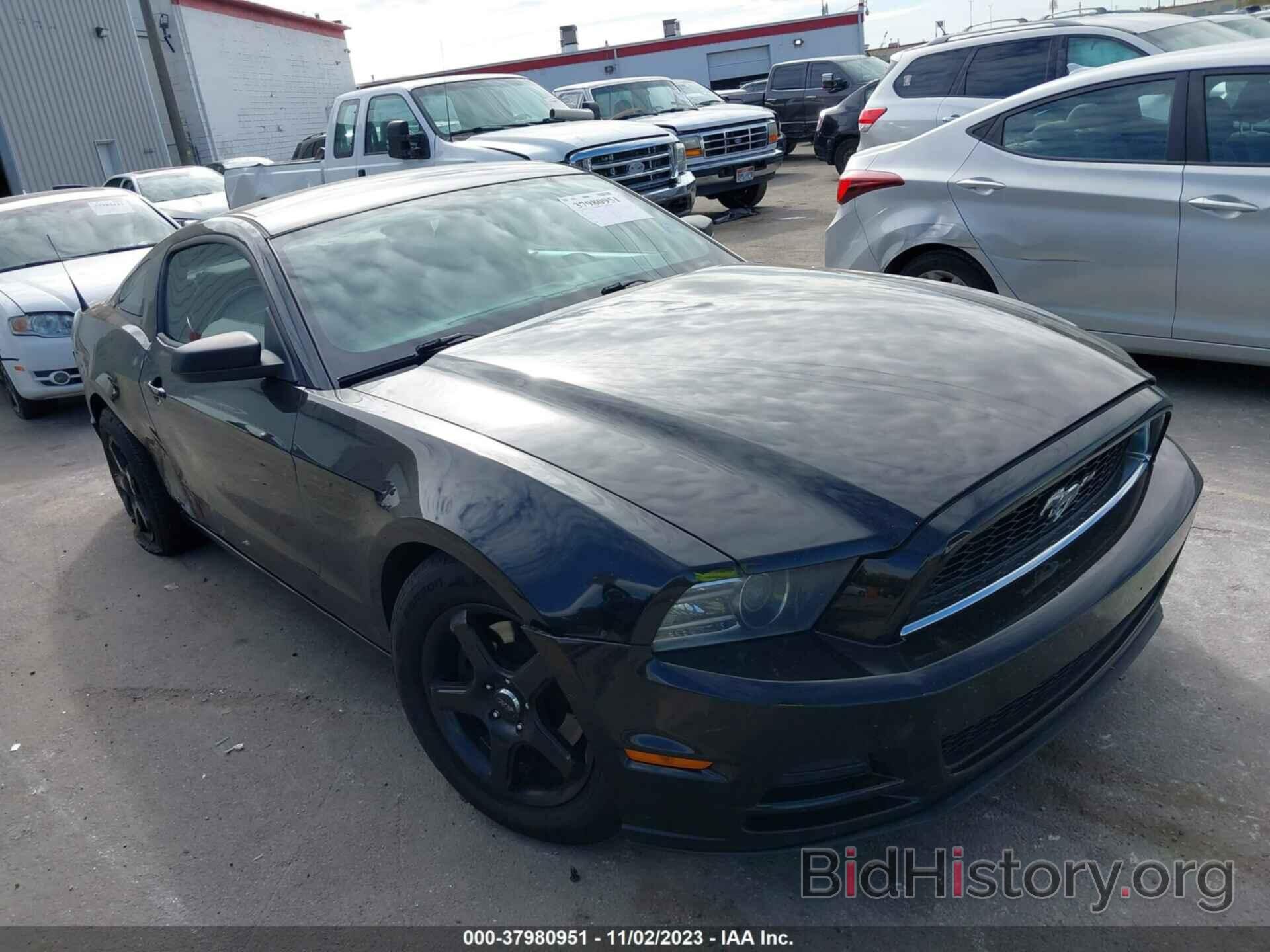 Photo 1ZVBP8AM2E5328712 - FORD MUSTANG 2014