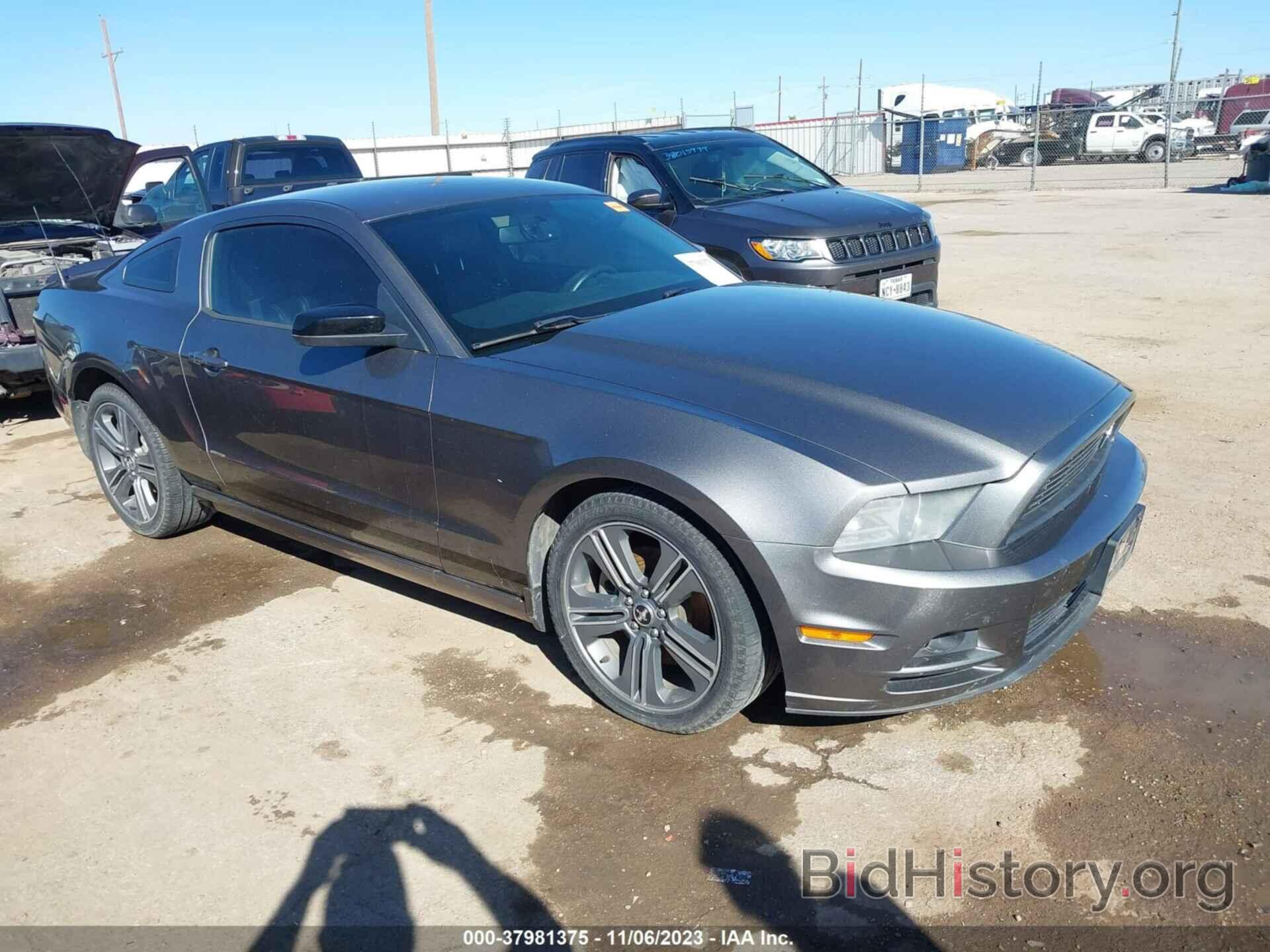 Photo 1ZVBP8AM4D5274814 - FORD MUSTANG 2013