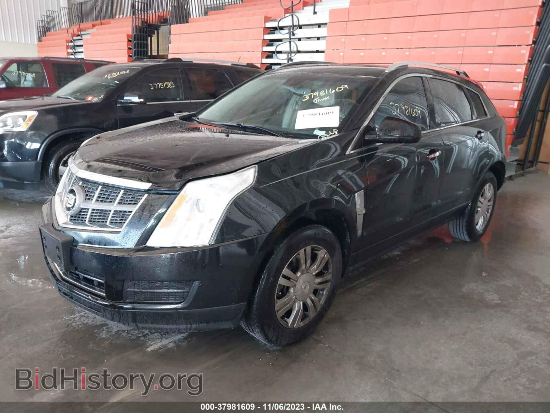2012 CADILLAC SRX - VIN: 3GYFNAE38CS659309 - Фото 2