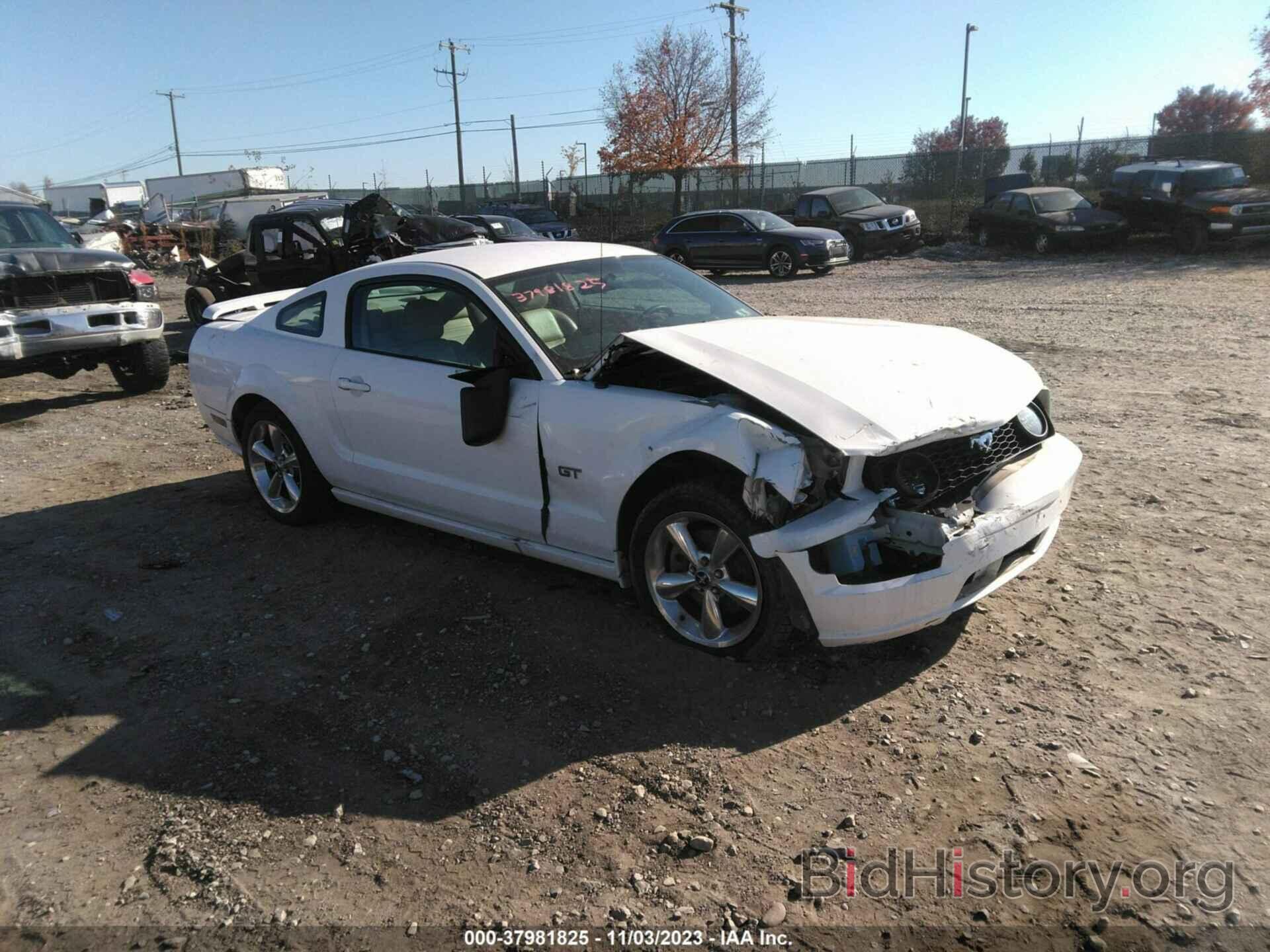 Photo 1ZVHT82H265161423 - FORD MUSTANG 2006