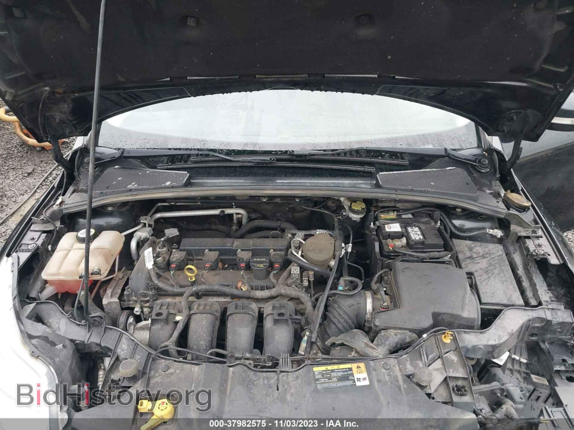 2013 FORD FOCUS - VIN: 1FADP3F26DL308548 - Фото 10