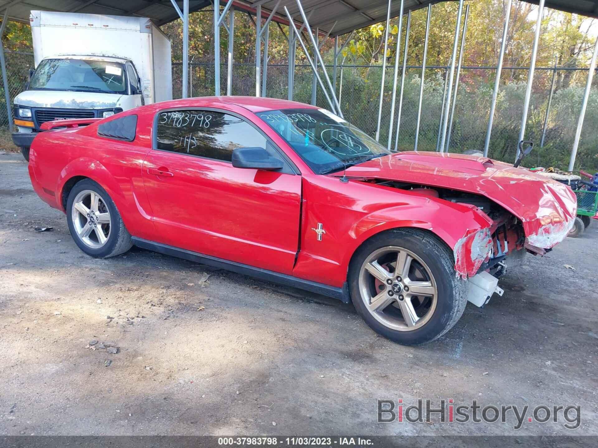Photo 1ZVFT80N965173617 - FORD MUSTANG 2006
