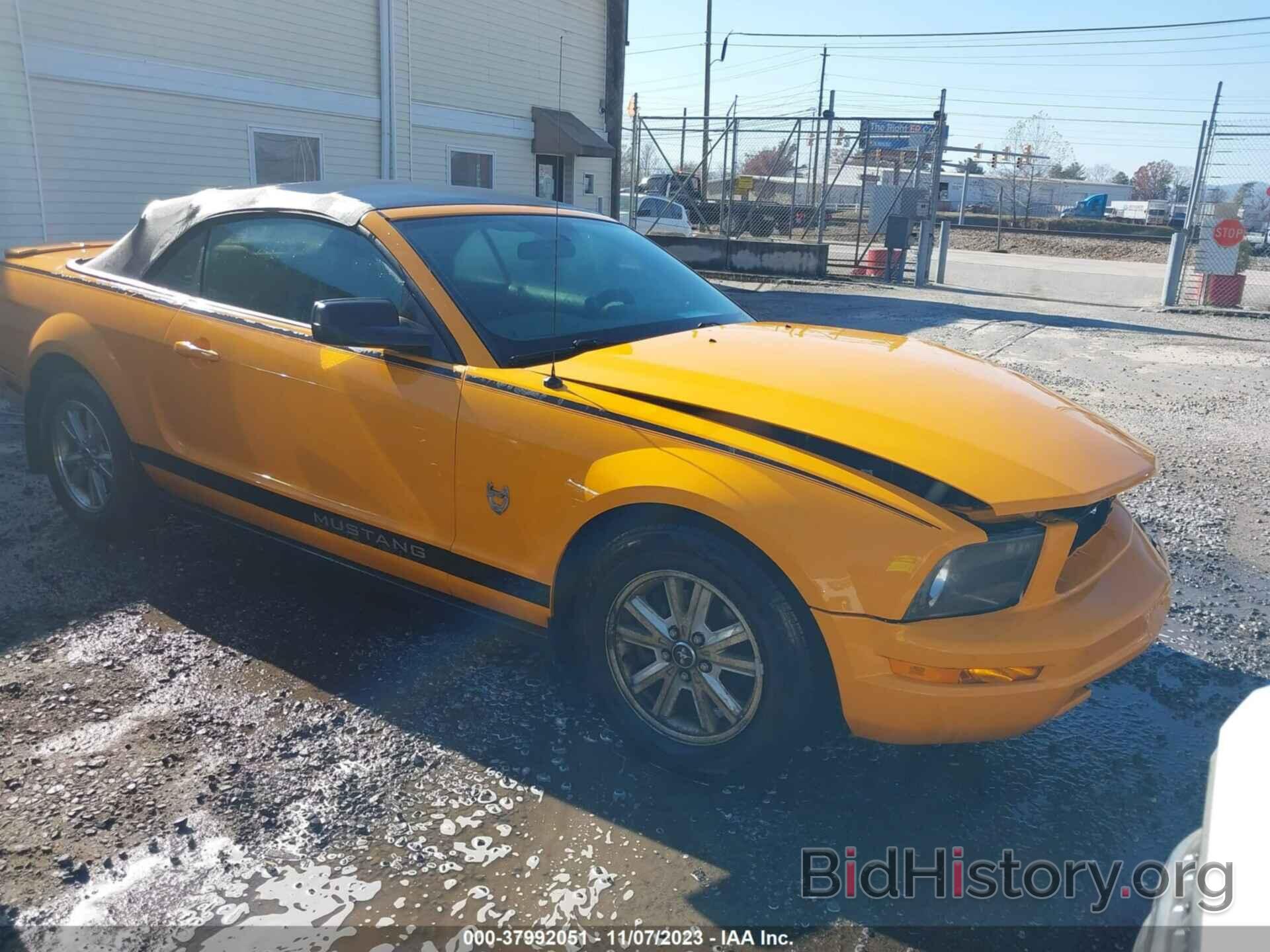 Photo 1ZVHT84N595127922 - FORD MUSTANG 2009