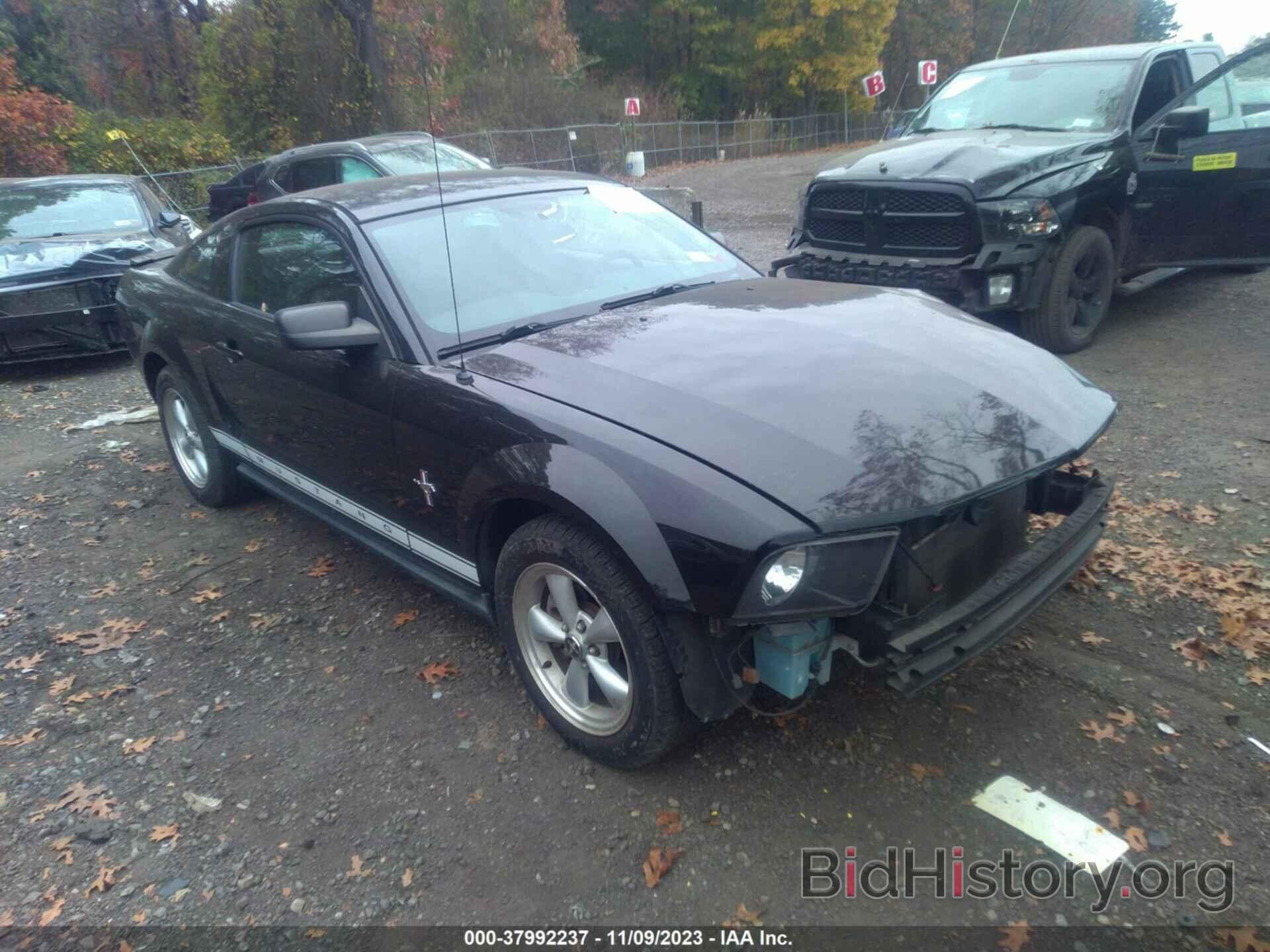 Photo 1ZVHT80N185171341 - FORD MUSTANG 2008