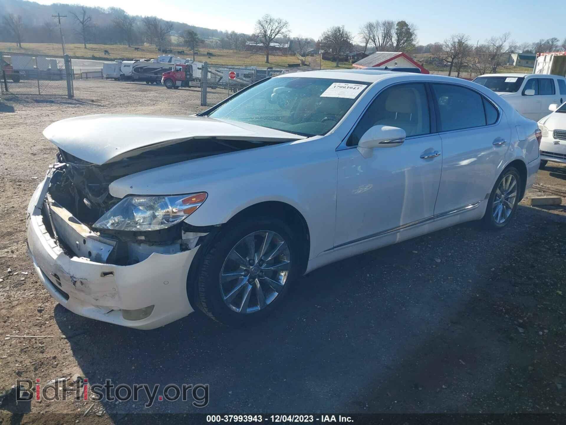 2010 LEXUS LS 460 - VIN: JTHGL5EF4A5041041 - Фото 2