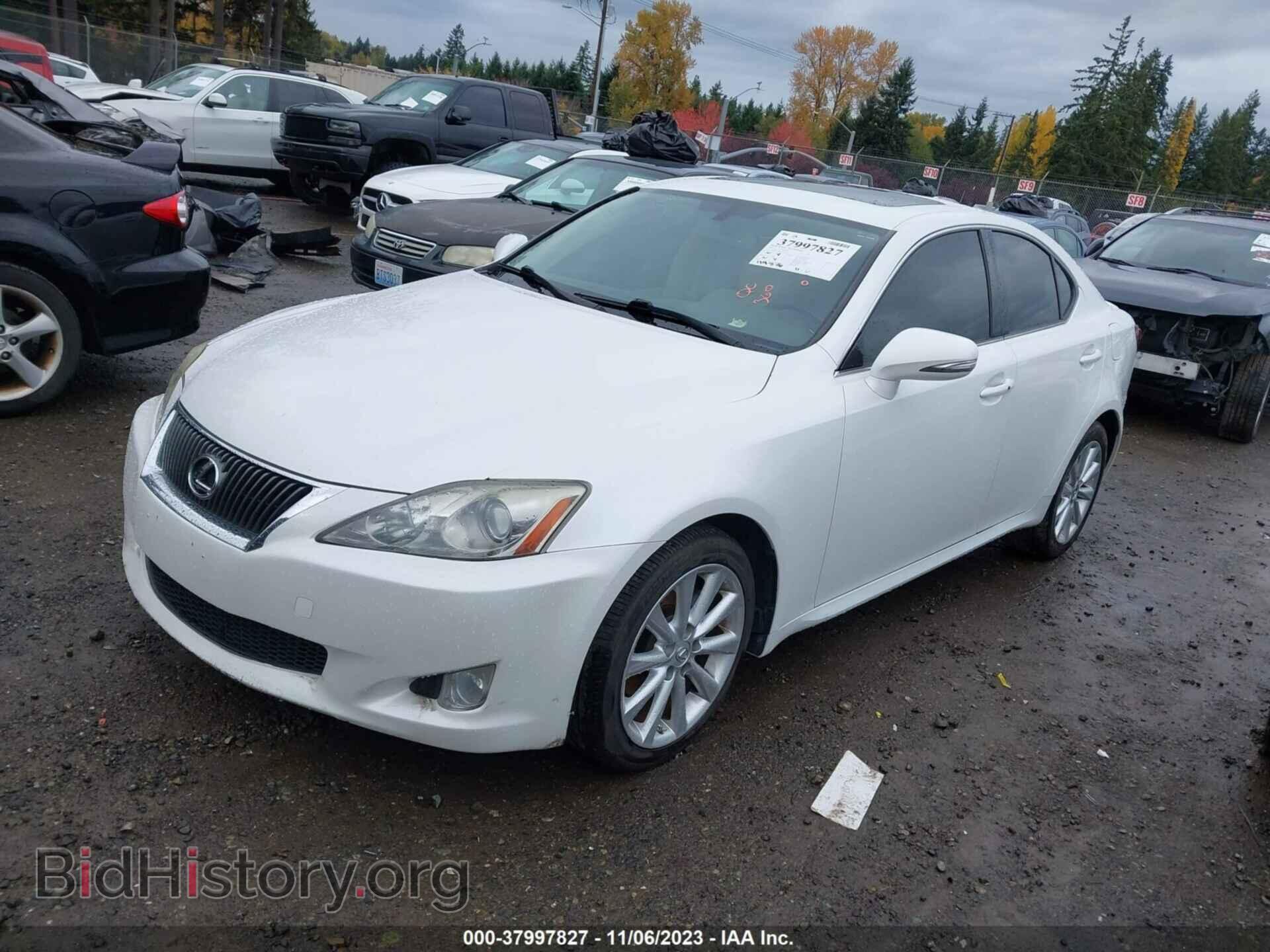 2010 LEXUS IS 250 - VIN: JTHBF5C26A5124519 - Фото 2