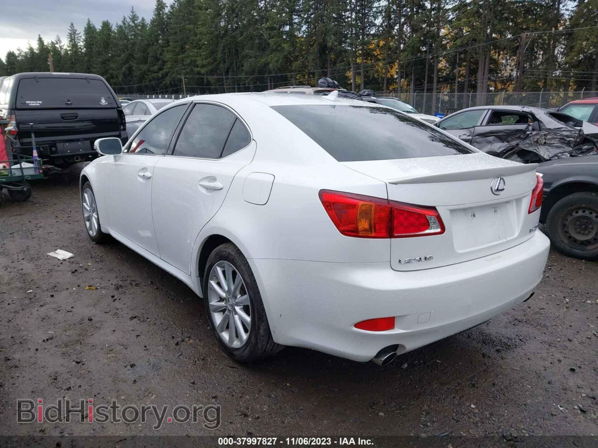 2010 LEXUS IS 250 - VIN: JTHBF5C26A5124519 - Фото 3