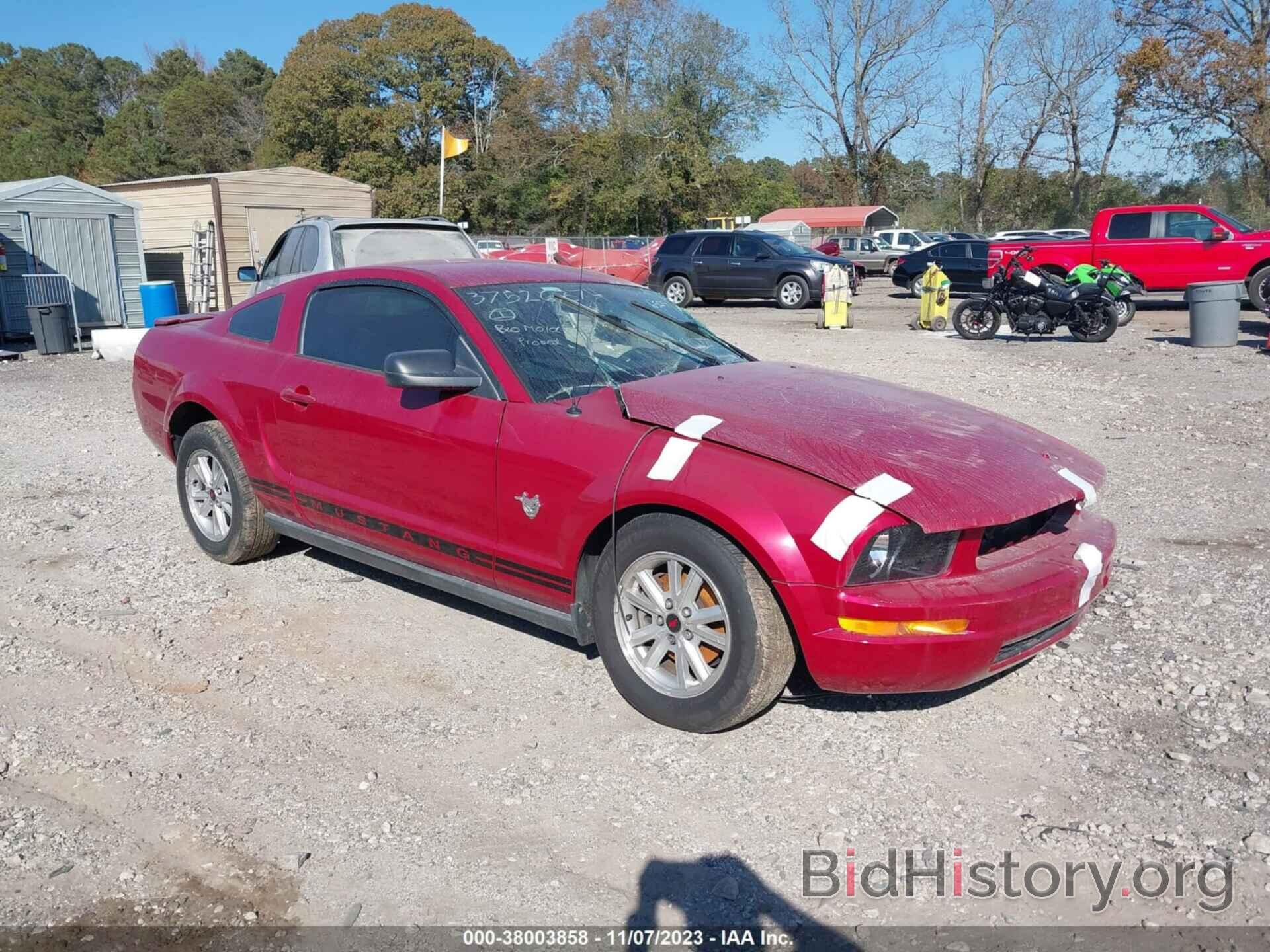 Photo 1ZVHT80N995116525 - FORD MUSTANG 2009