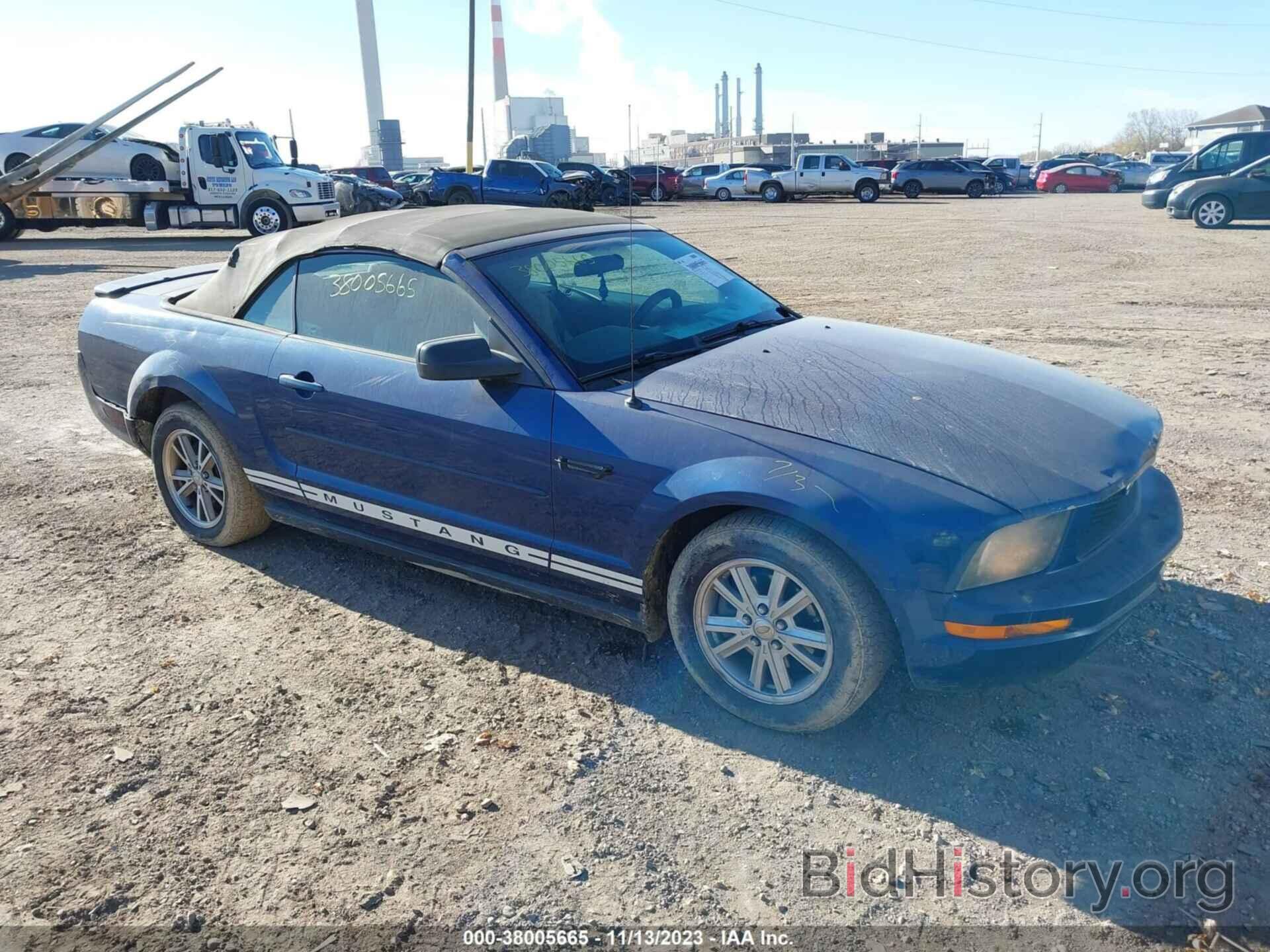 Photo 1ZVHT84N285165381 - FORD MUSTANG 2008