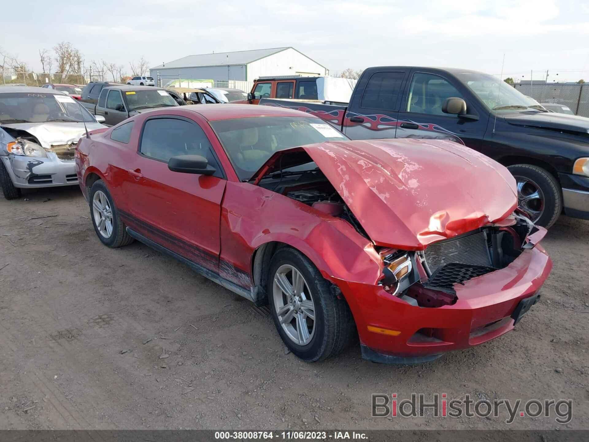 Photo 1ZVBP8AN5A5150068 - FORD MUSTANG 2010