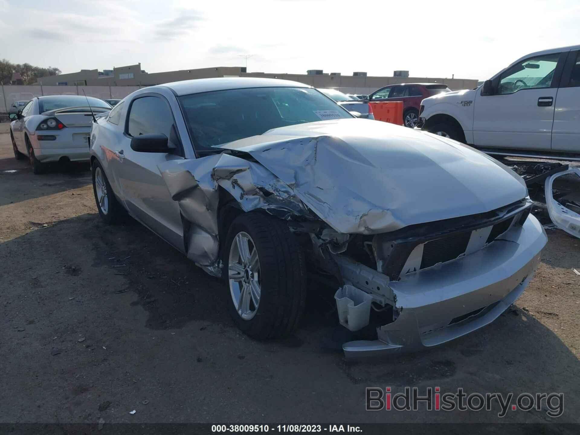 Photo 1ZVBP8AM8B5134097 - FORD MUSTANG 2011