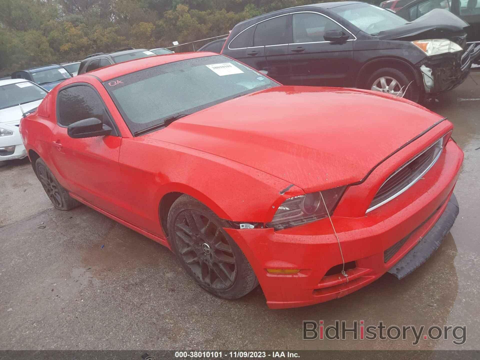 Photo 1ZVBP8AM1E5300447 - FORD MUSTANG 2014