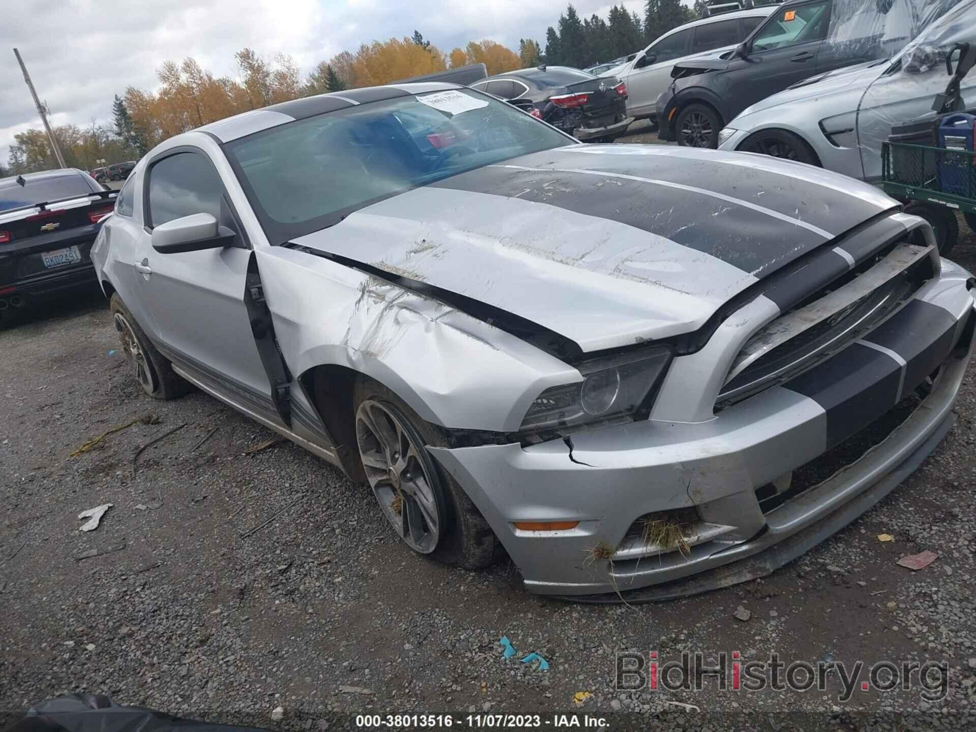 Photo 1ZVBP8AM0E5206253 - FORD MUSTANG 2014