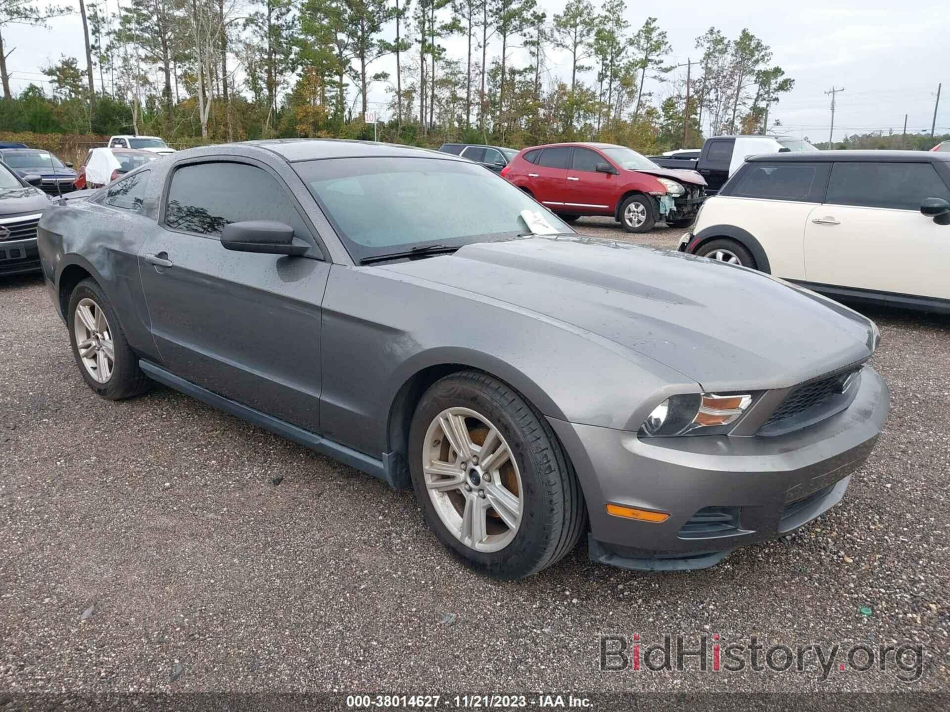 Photo 1ZVBP8AN2A5159293 - FORD MUSTANG 2010