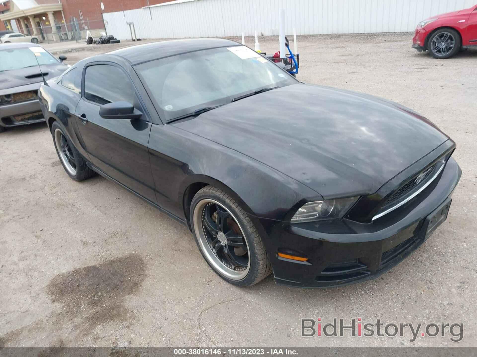 Photo 1ZVBP8AM6E5334514 - FORD MUSTANG 2014