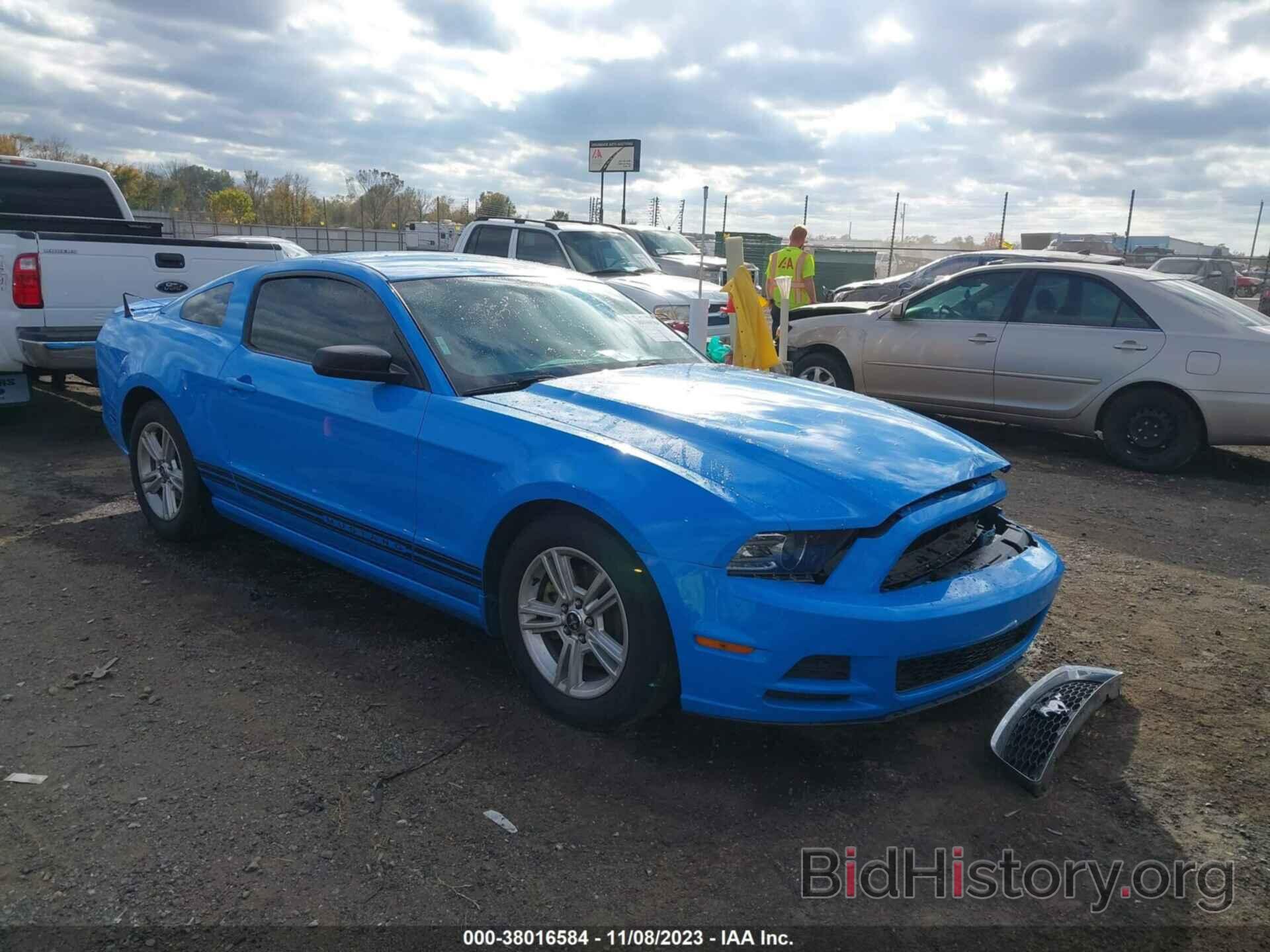 Photo 1ZVBP8AM6D5273664 - FORD MUSTANG 2013