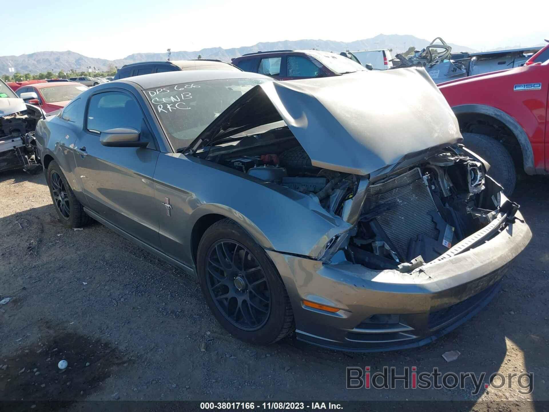 Photo 1ZVBP8AM6D5264611 - FORD MUSTANG 2013