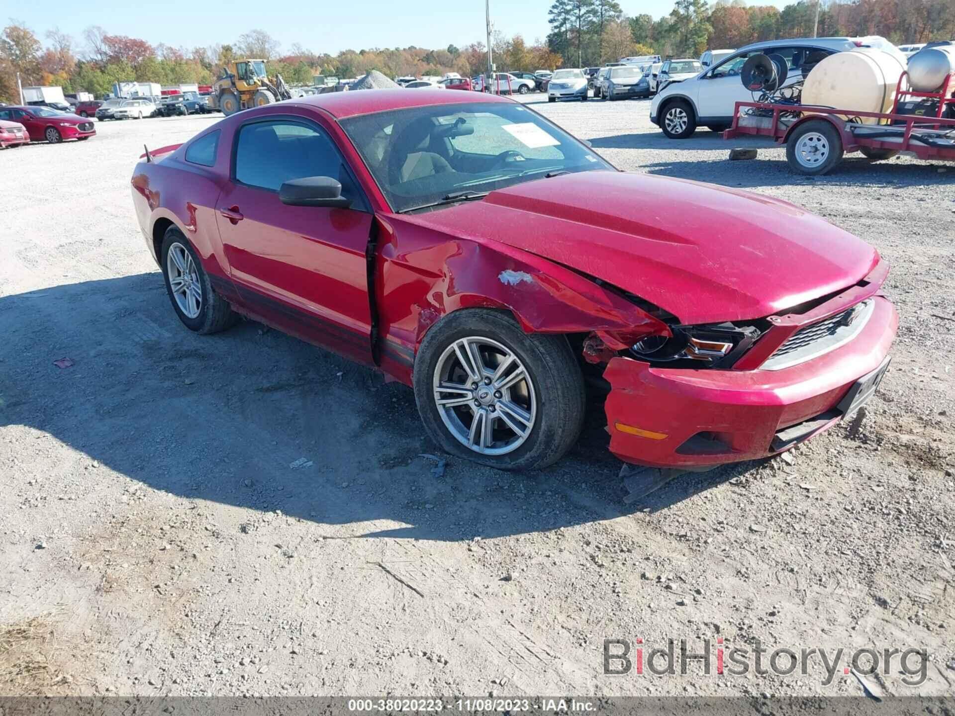 Photo 1ZVBP8AM6C5271928 - FORD MUSTANG 2012