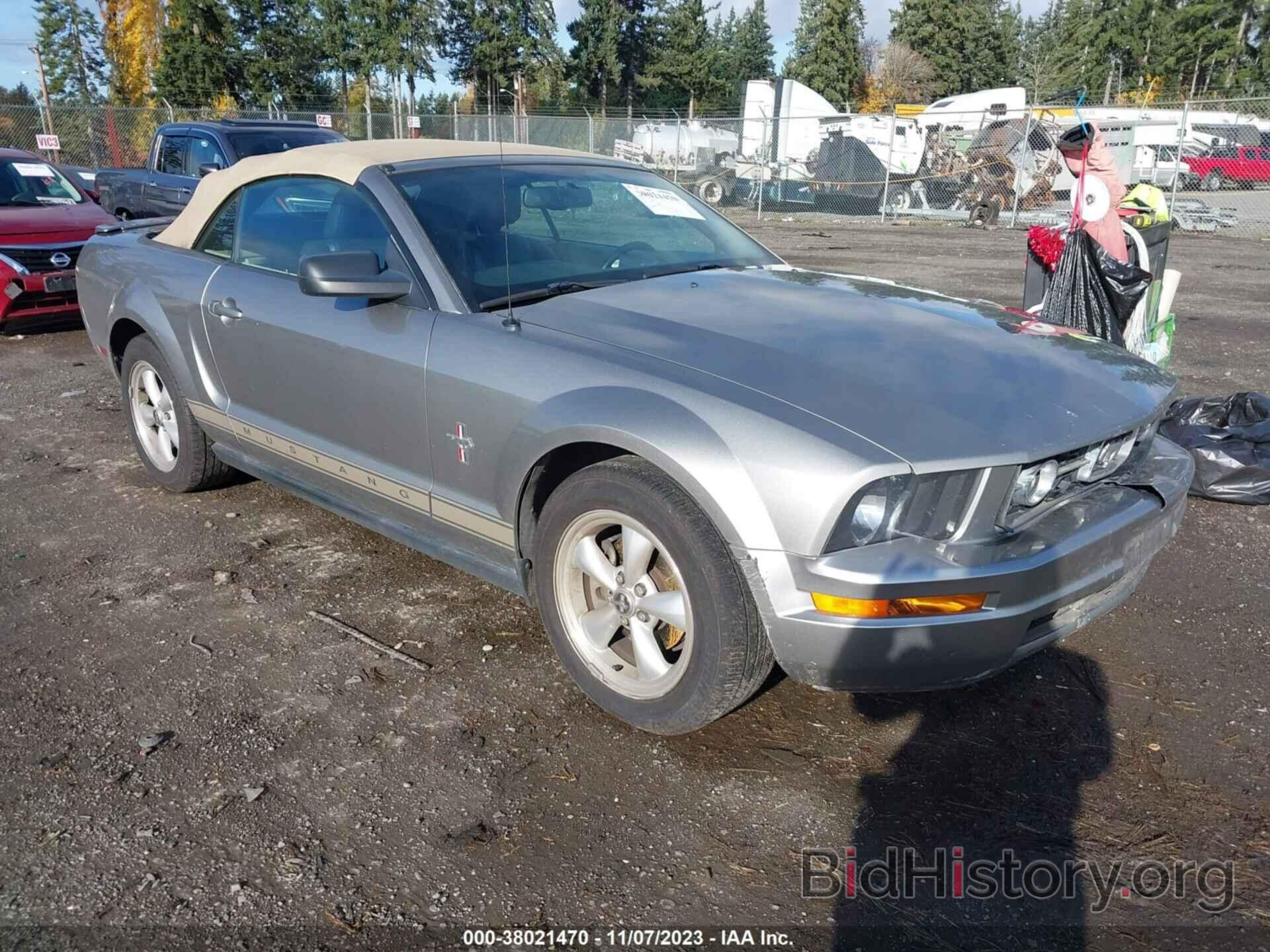 Photo 1ZVHT84N985111303 - FORD MUSTANG 2008