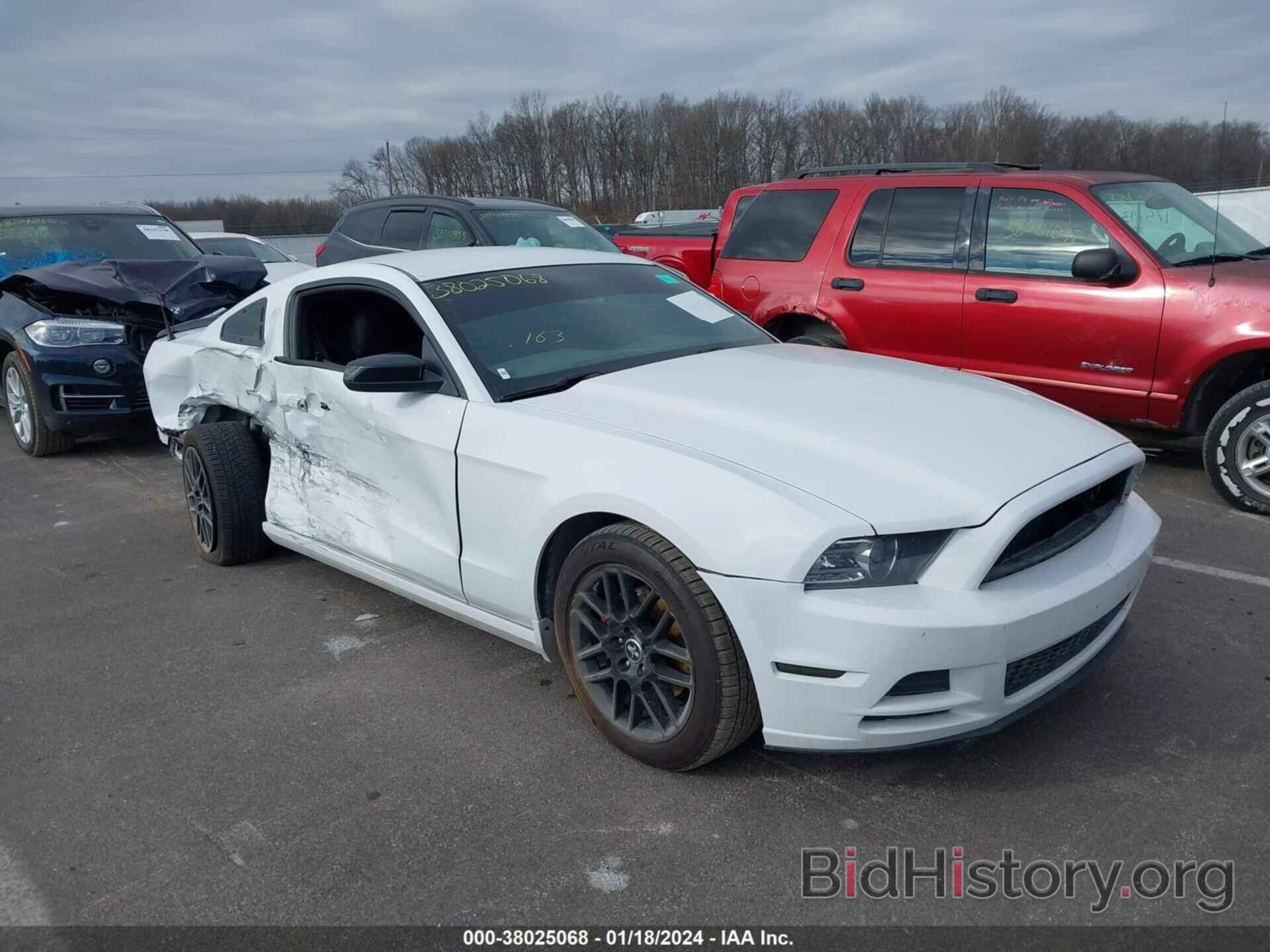 Photo 1ZVBP8AM4E5207163 - FORD MUSTANG 2014