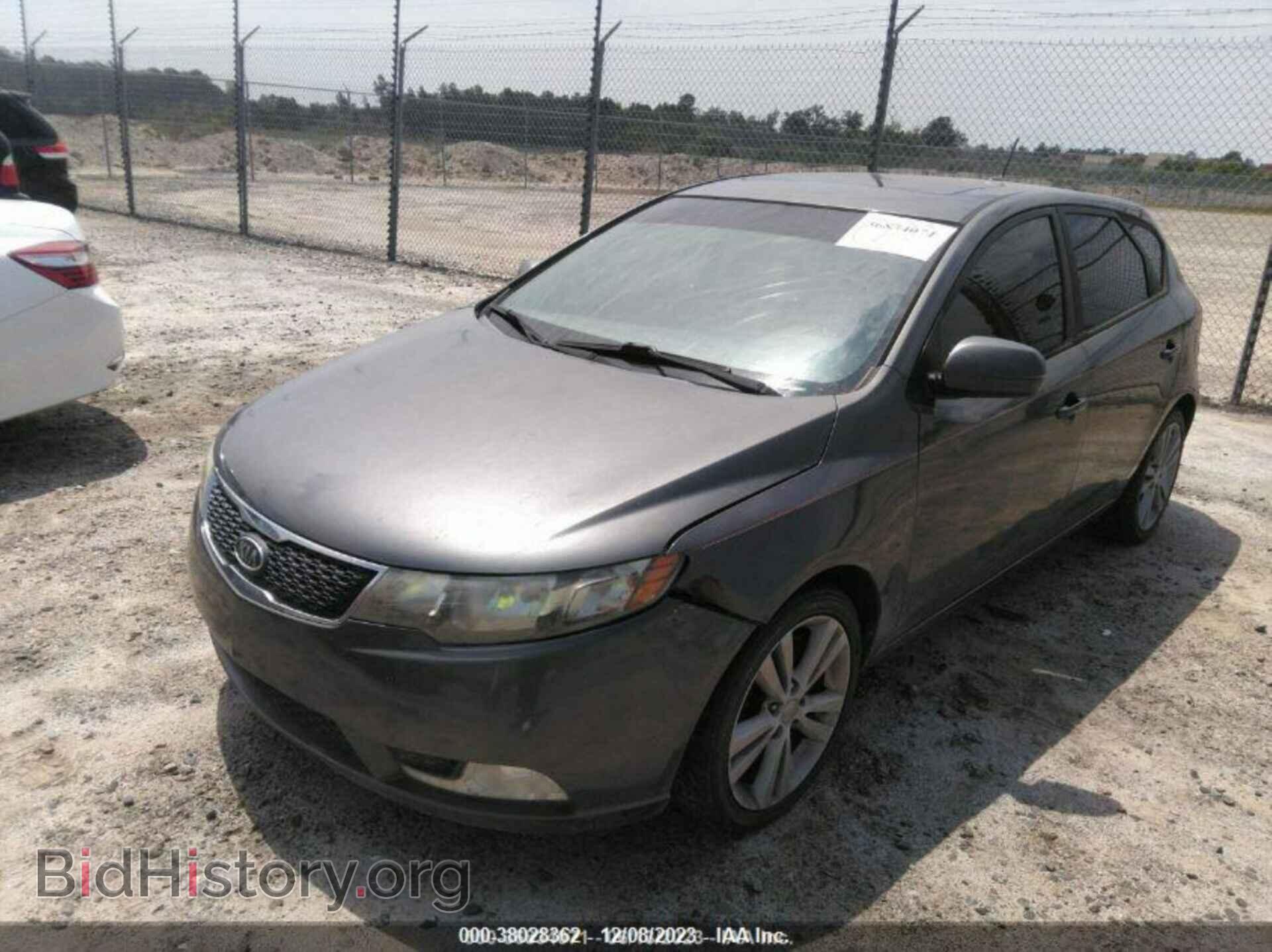 2013 KIA FORTE - VIN: KNAFW5A36D5745694 - Фото 2
