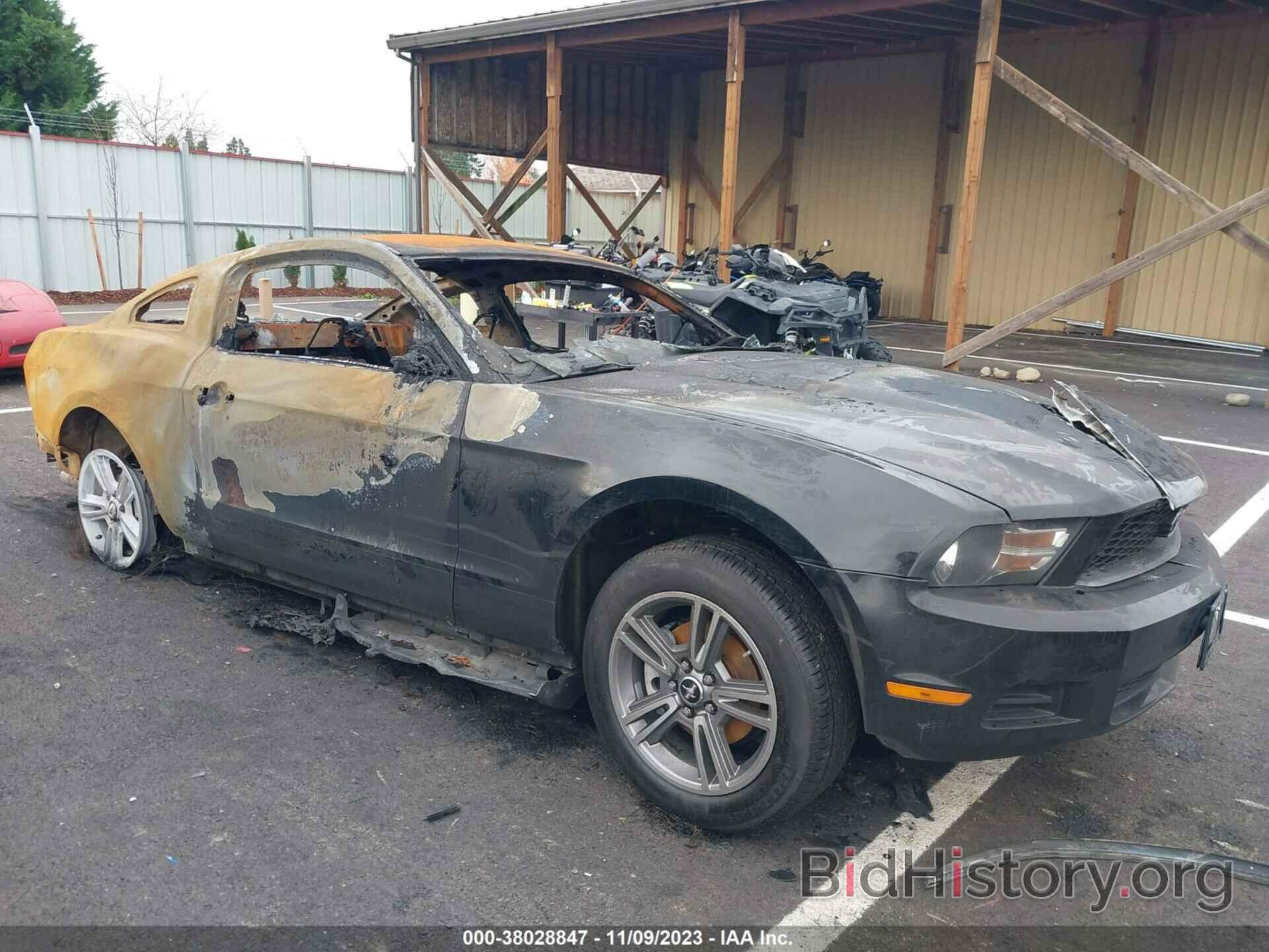Photo 1ZVBP8AN9A5126260 - FORD MUSTANG 2010
