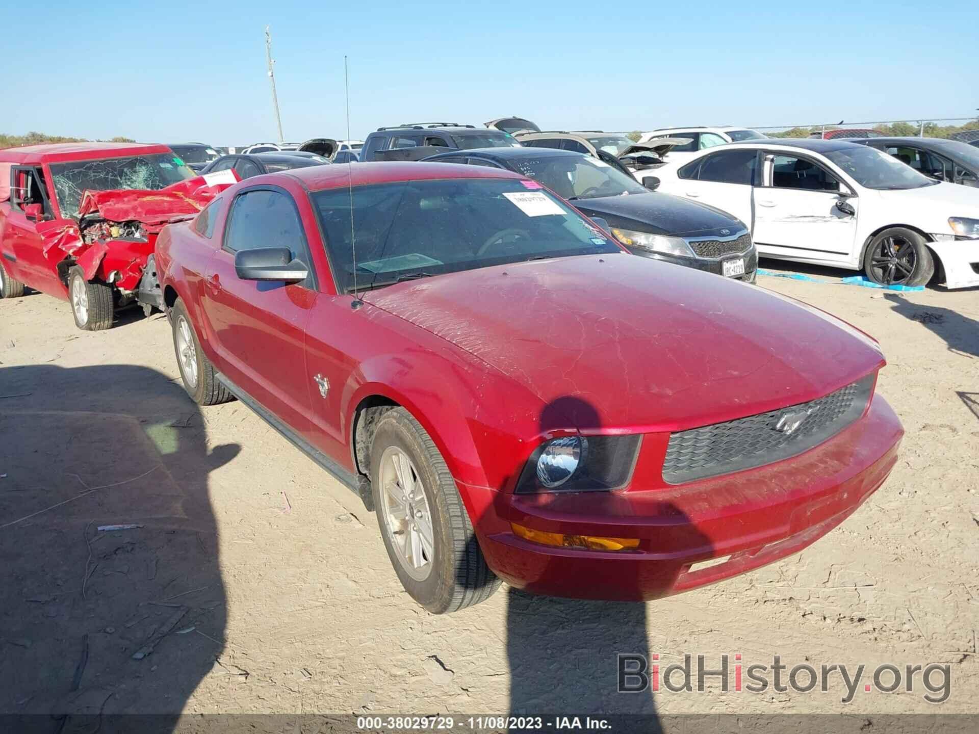 Photo 1ZVHT80NX95138095 - FORD MUSTANG 2009