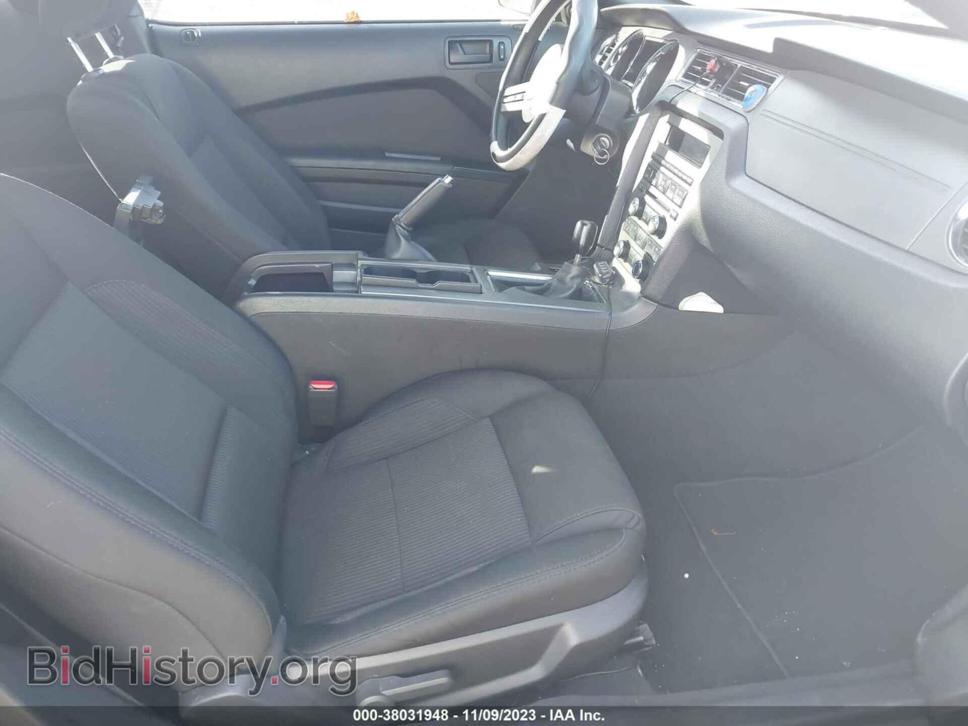 2010 FORD MUSTANG - VIN: 1ZVBP8CH8A5157622 - Фото 5