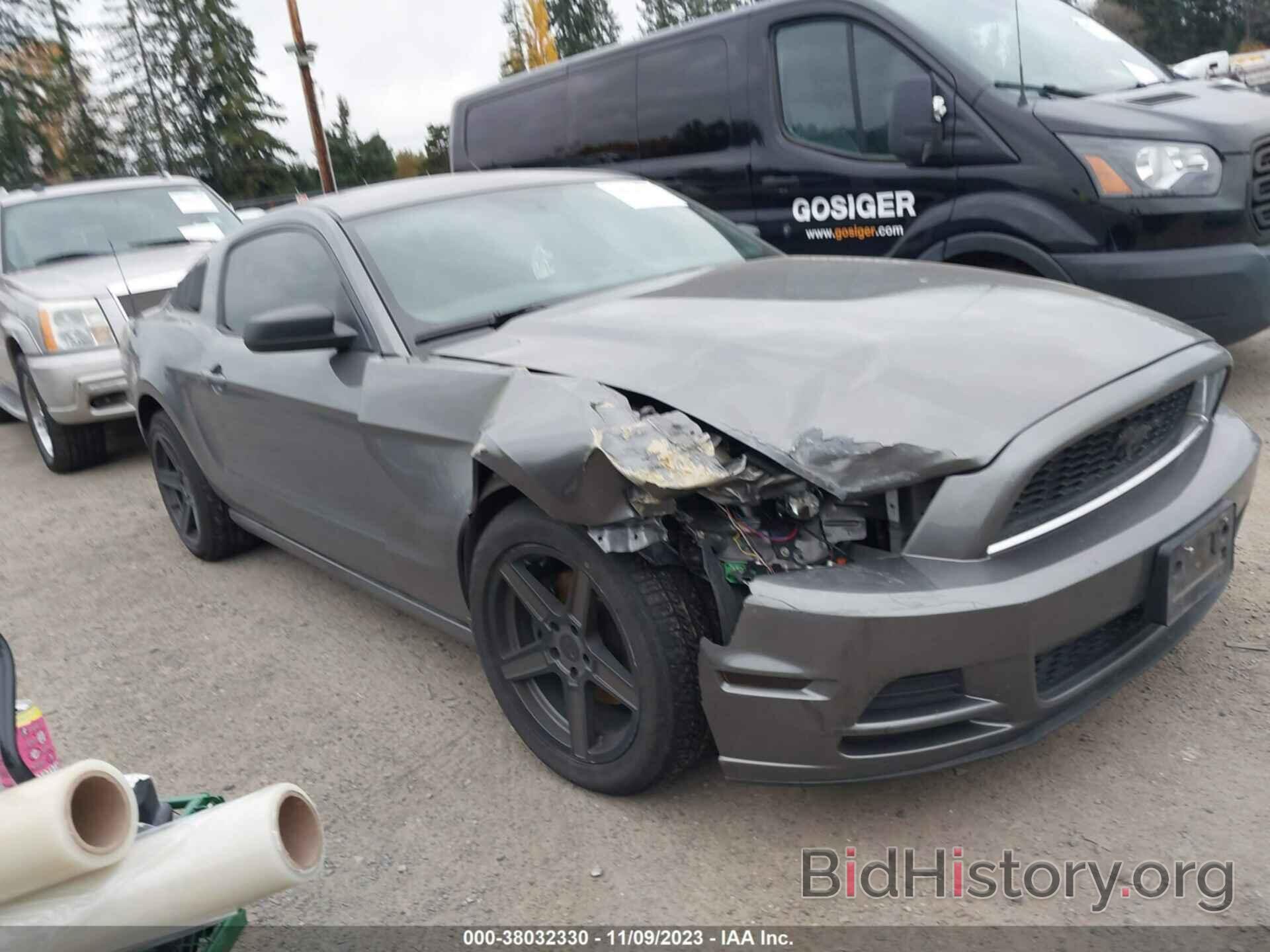 Photo 1ZVBP8AM1E5292009 - FORD MUSTANG 2014
