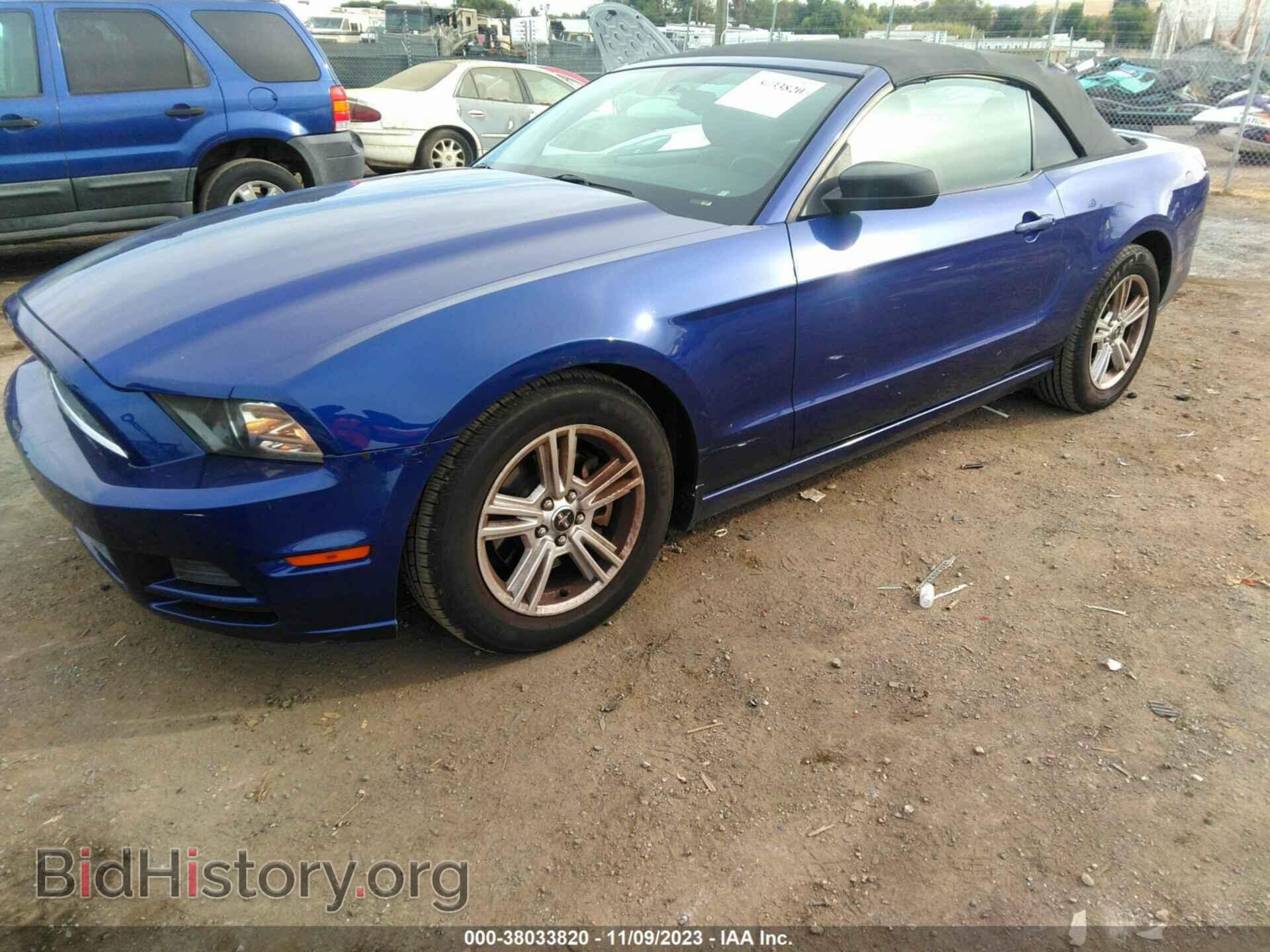 2013 FORD MUSTANG - VIN: 1ZVBP8EM8D5214075 - Фото 2