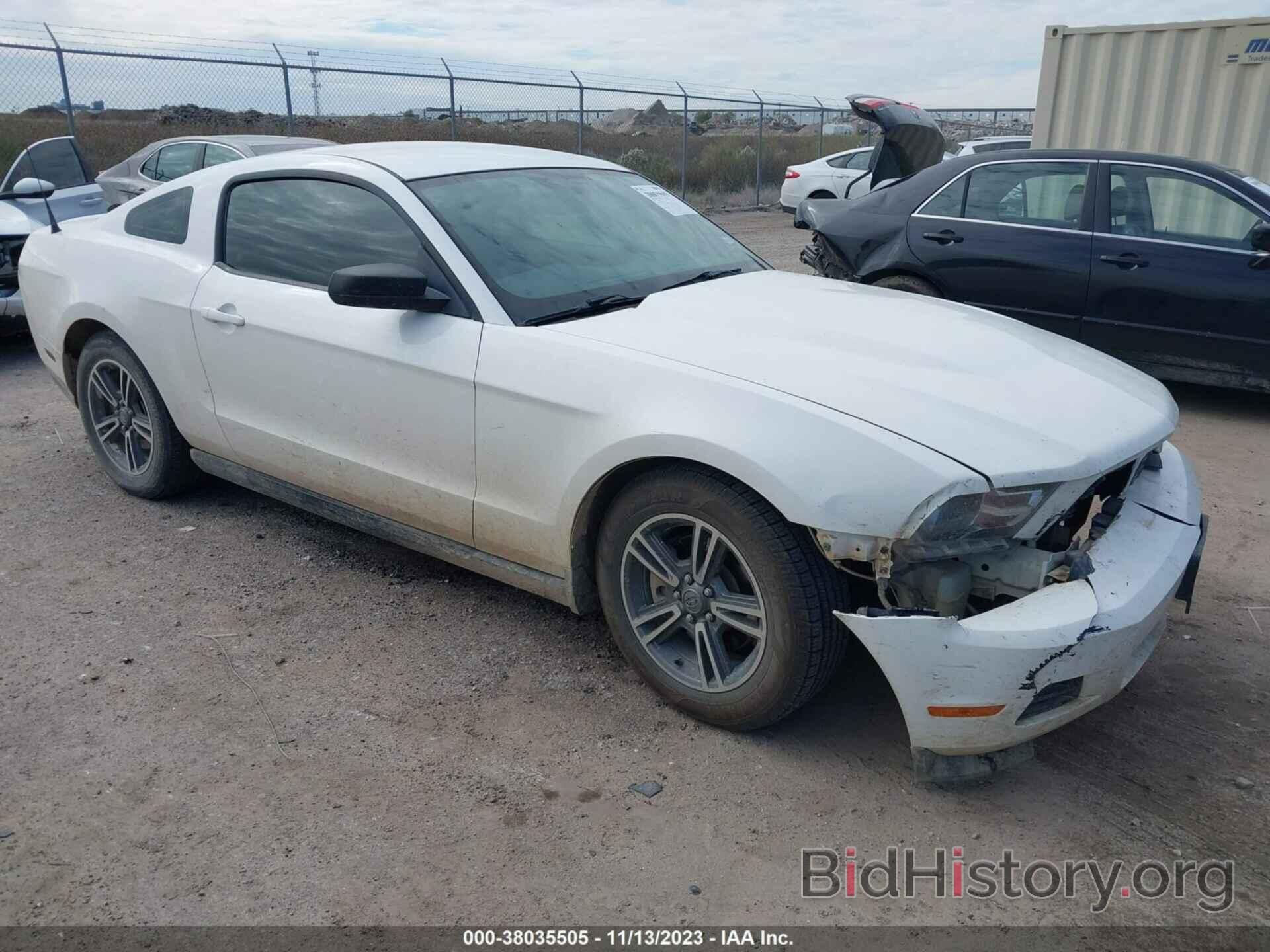 Photo 1ZVBP8AM8C5212122 - FORD MUSTANG 2012