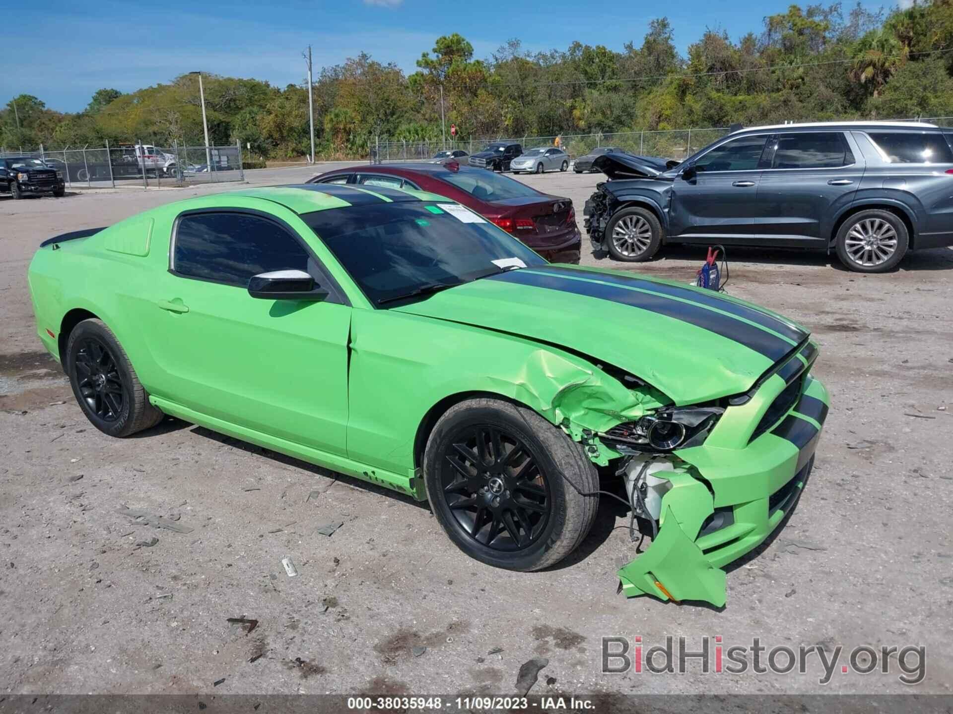 Photo 1ZVBP8AM9E5262904 - FORD MUSTANG 2014