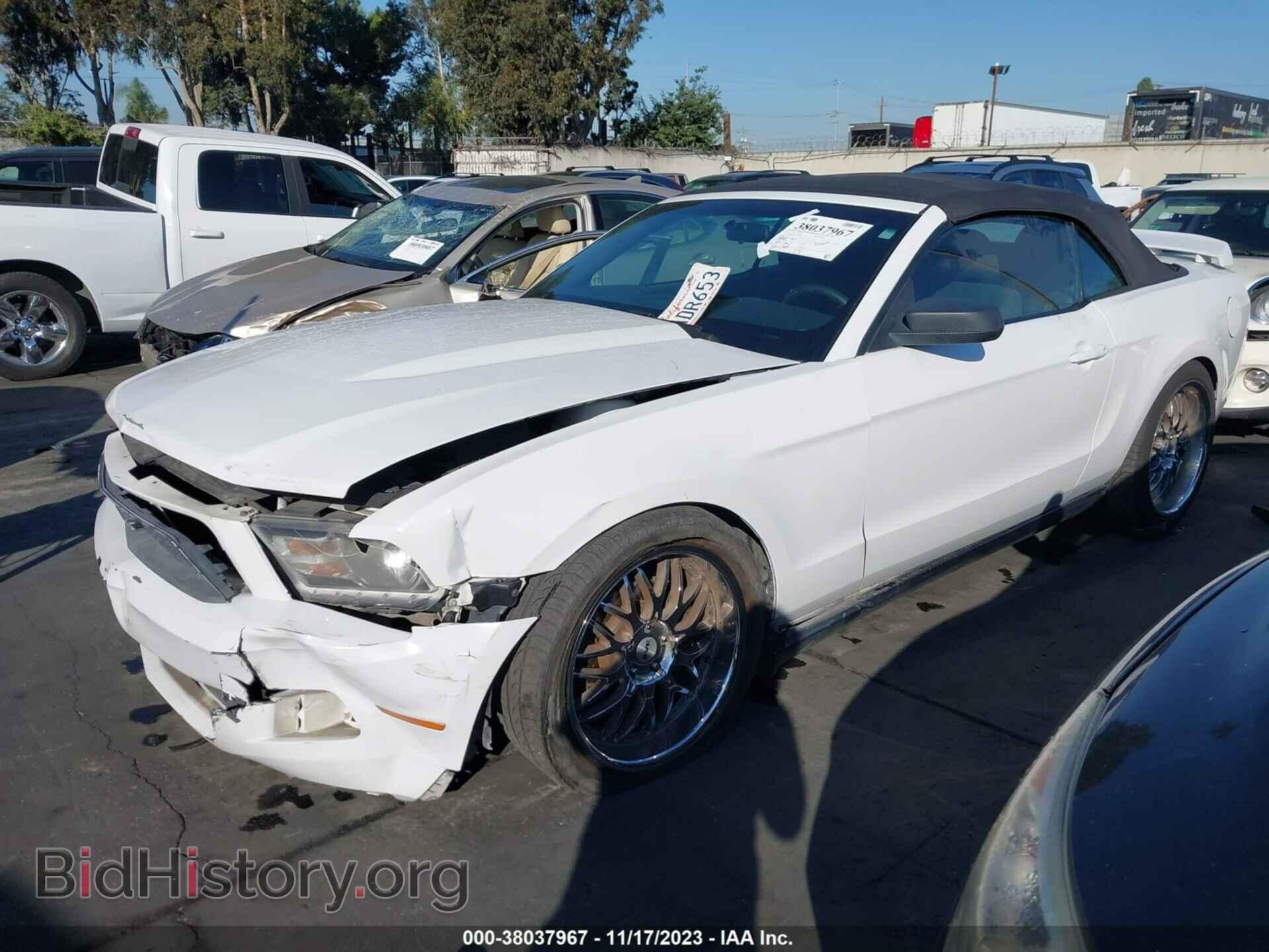 2012 FORD MUSTANG - VIN: 1ZVBP8EM0C5235288 - Фото 2