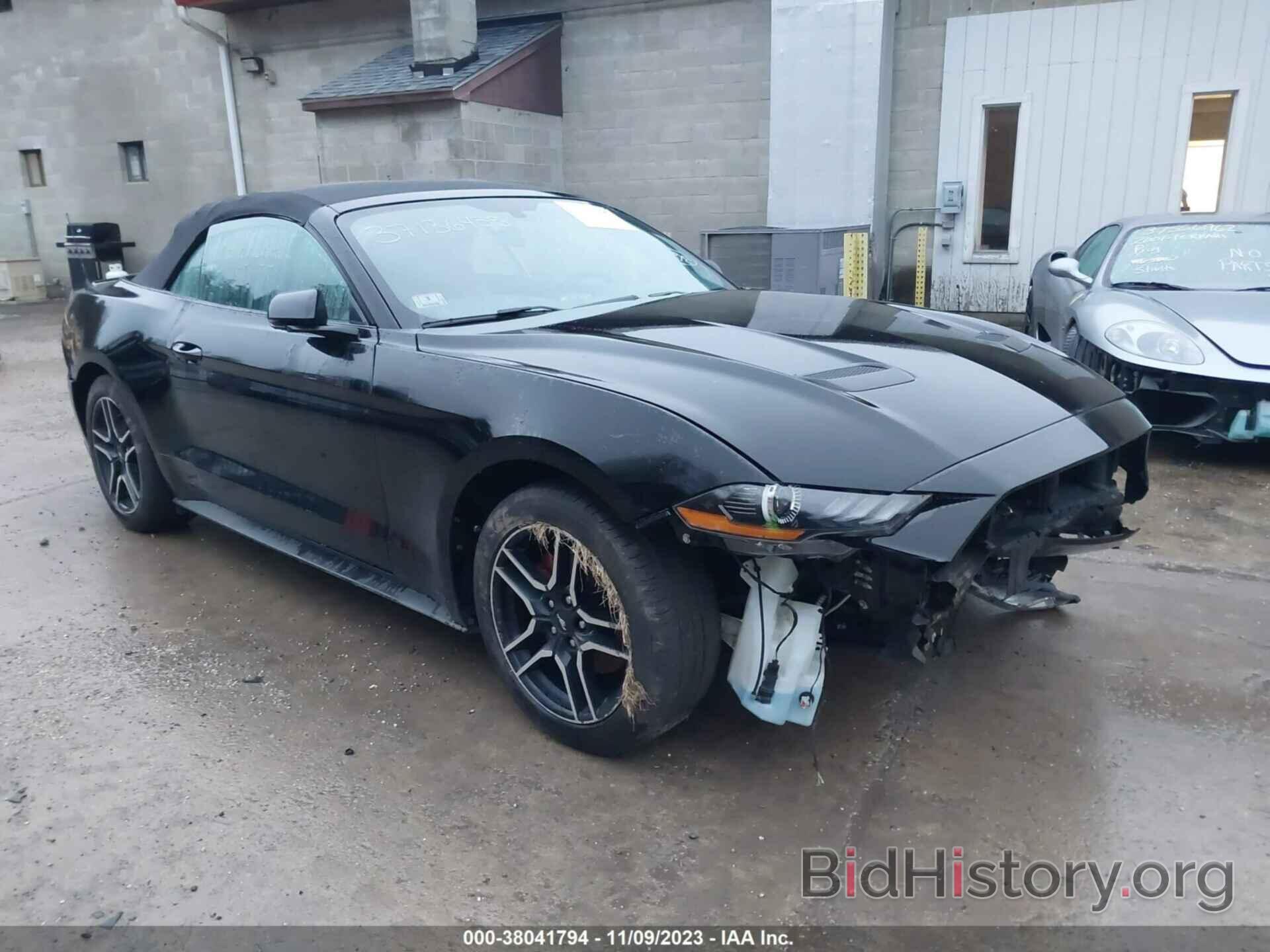 Photo 1FATP8UH1K5162707 - FORD MUSTANG 2019